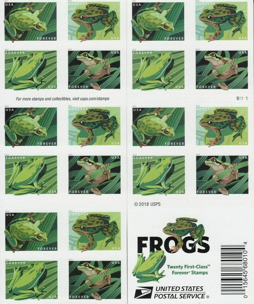 FrogMain.jpg