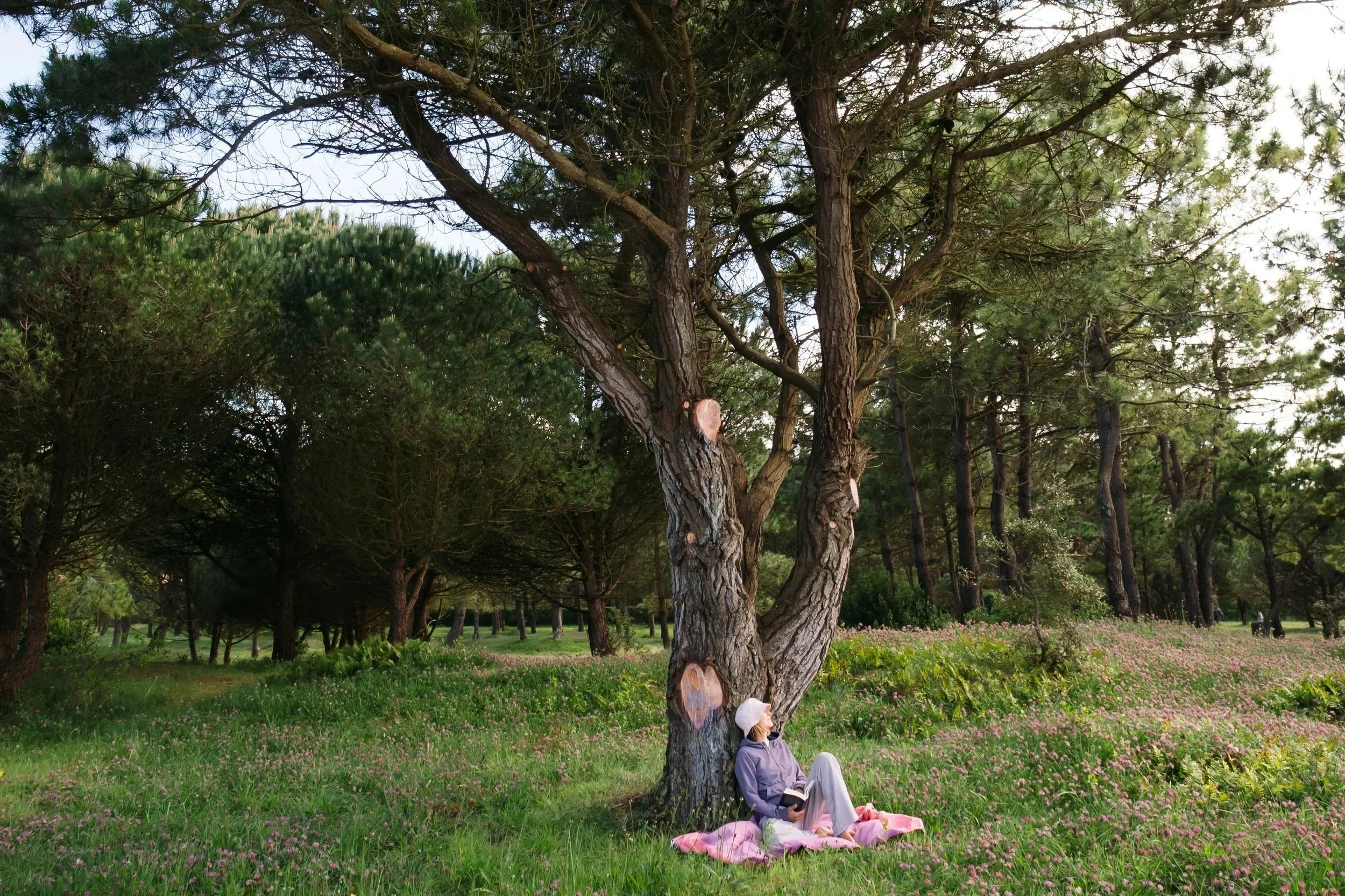 Nature &amp; Wellbeing: Why Going Outside Is an Emotional Reset