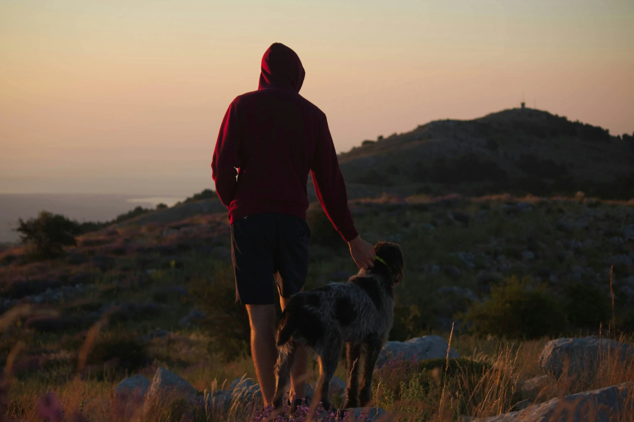 Person in a red hoodie walking with a dog in a hilly landscape at sunset.