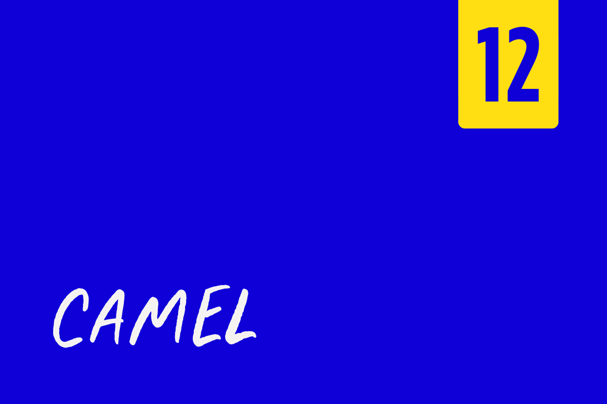 Blue label with yellow and blue number 12 in the top right corner and the word Camel in white handwritten text at the bottom left.