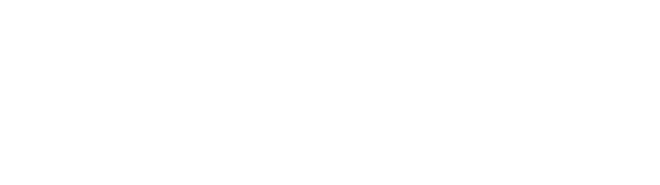 Biomedical Engineering Society