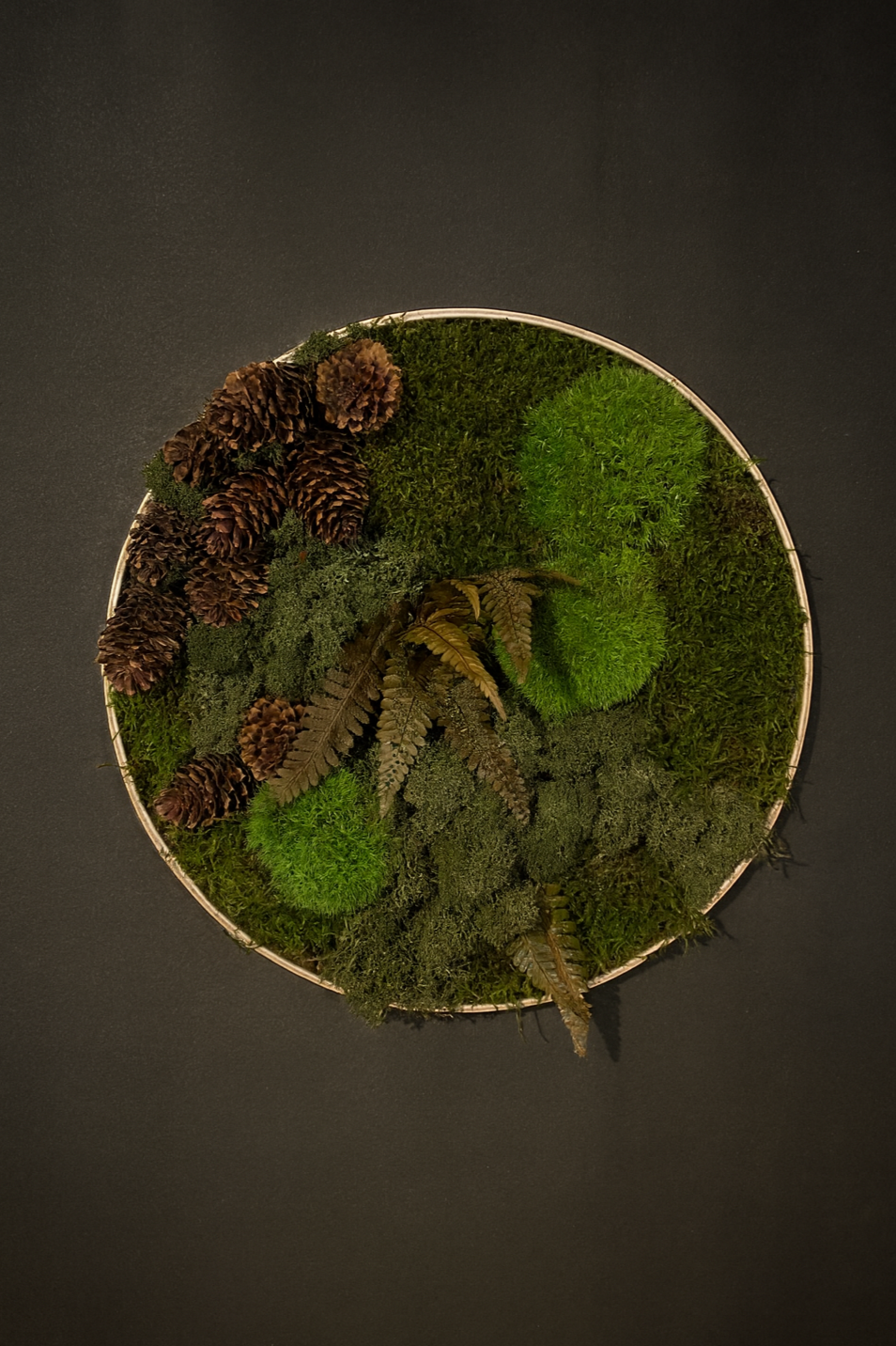 5DC51B29-D8C9-4E62-BC65-71816A428BAF.png