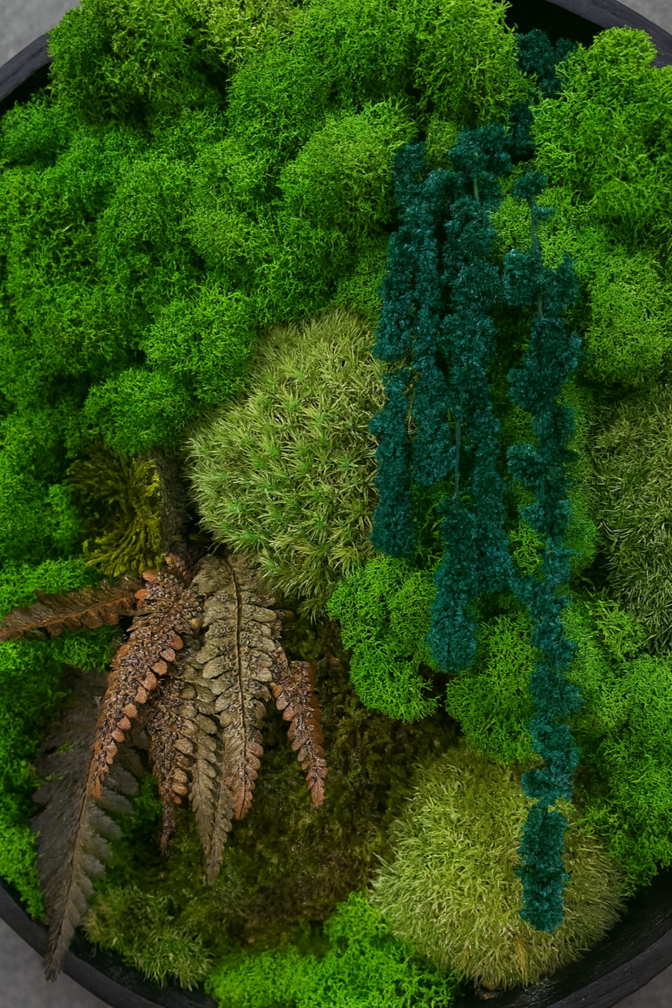 35D423E7-8987-4346-B0FD-338B837129A7.png