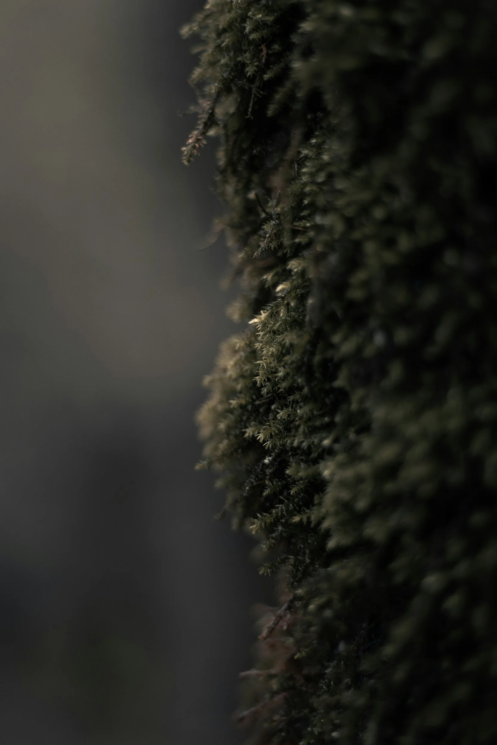unsplash-image-TsU3lEKX41o.jpg