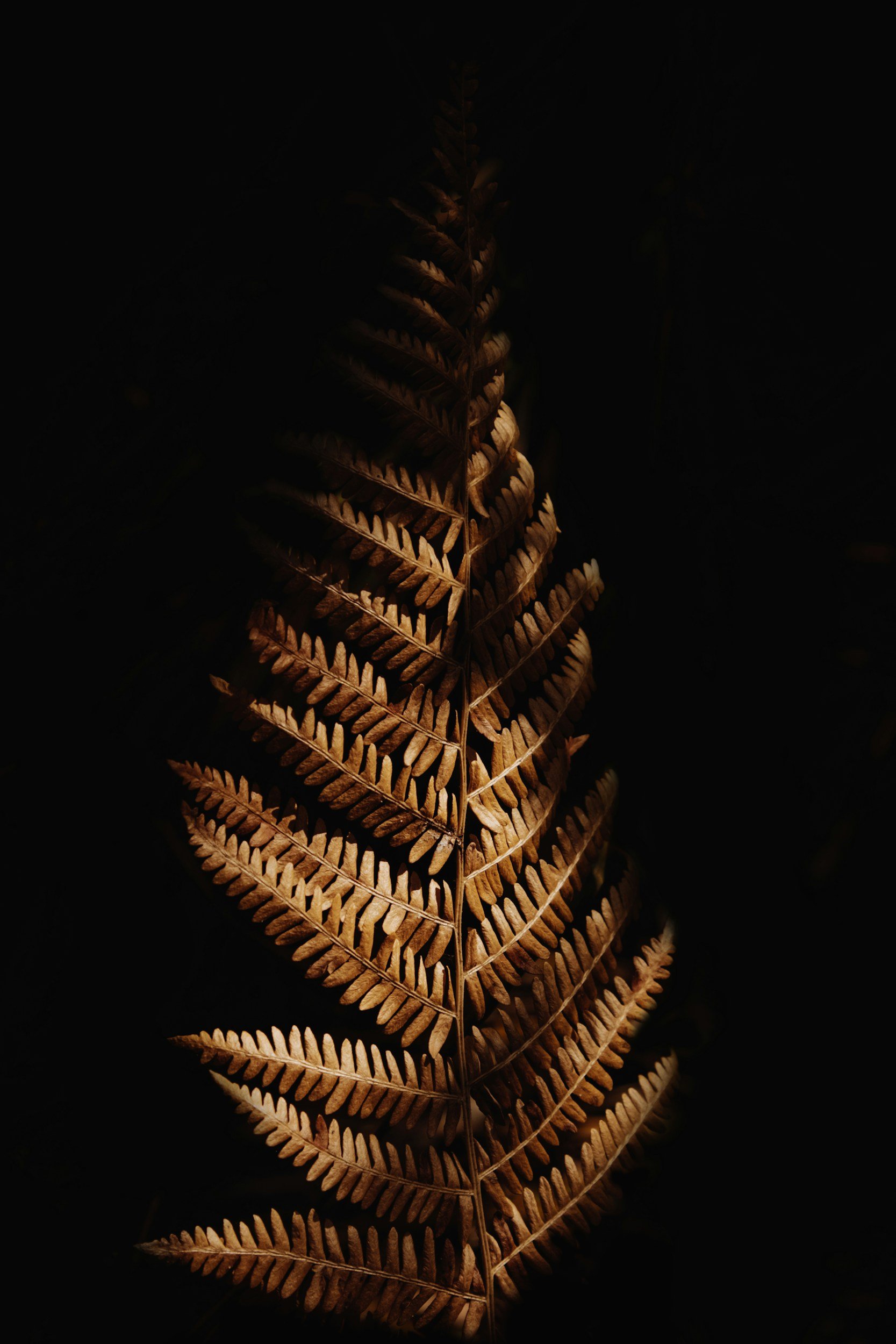 unsplash-image-V0YbWqOCsd4.jpg