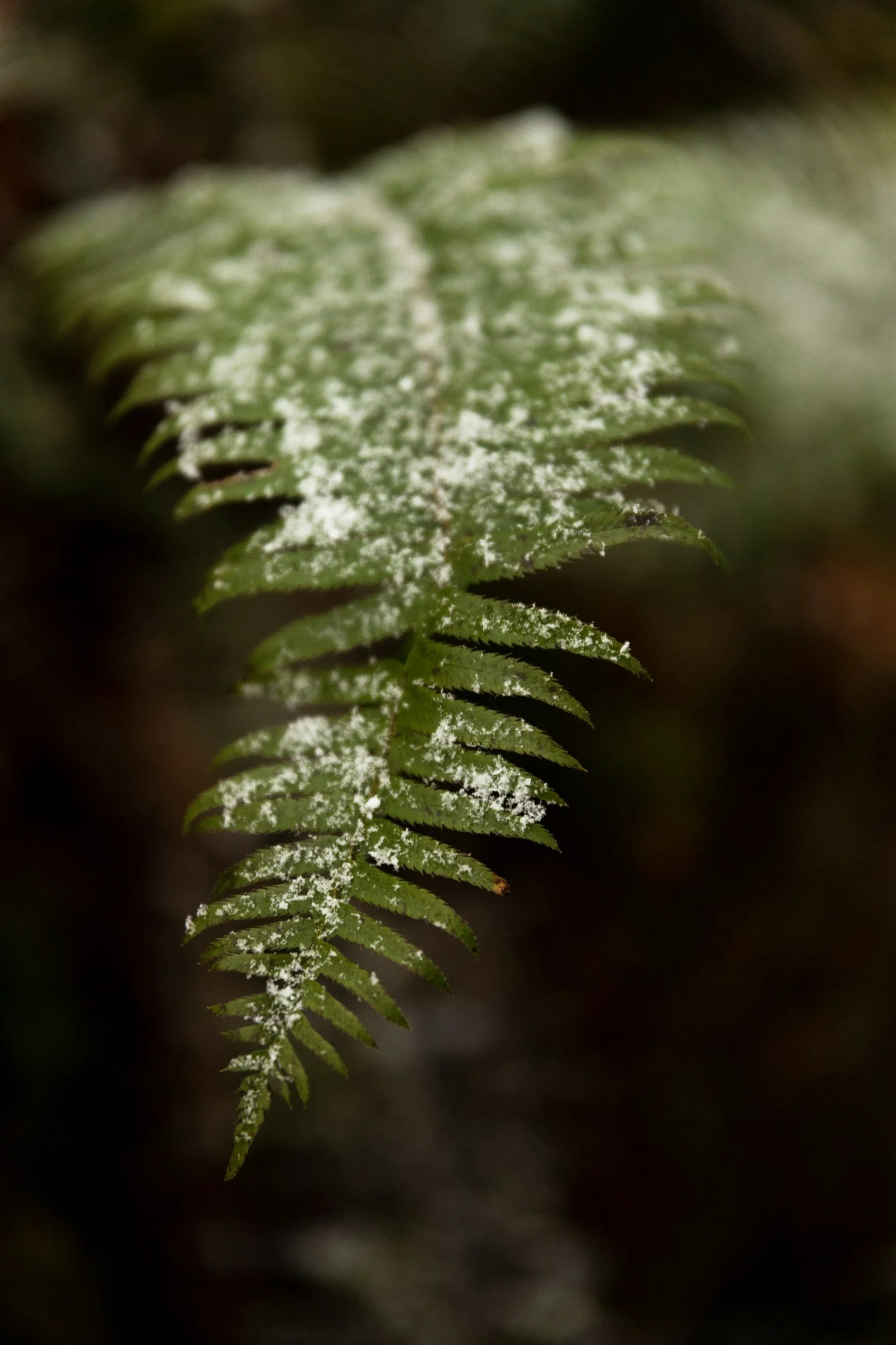 unsplash-image-esM-2xxlH6I.jpg