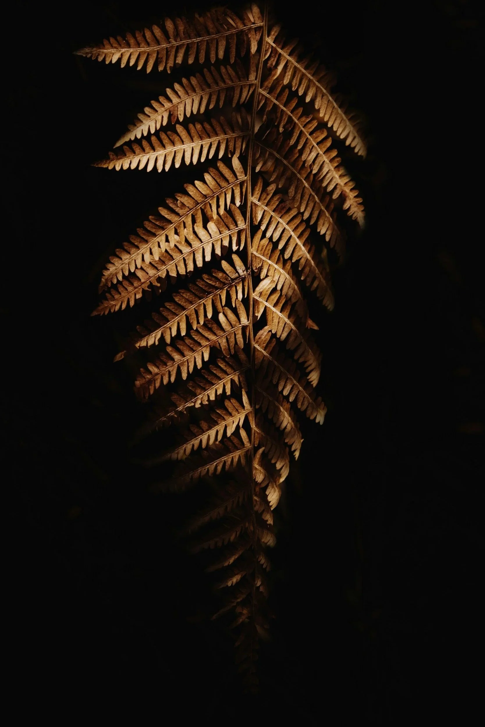 unsplash-image-V0YbWqOCsd4.jpg