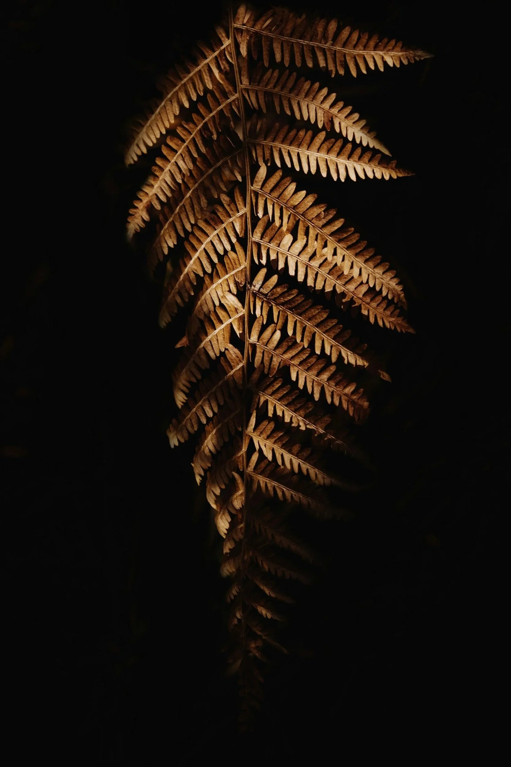 unsplash-image-V0YbWqOCsd4.jpg