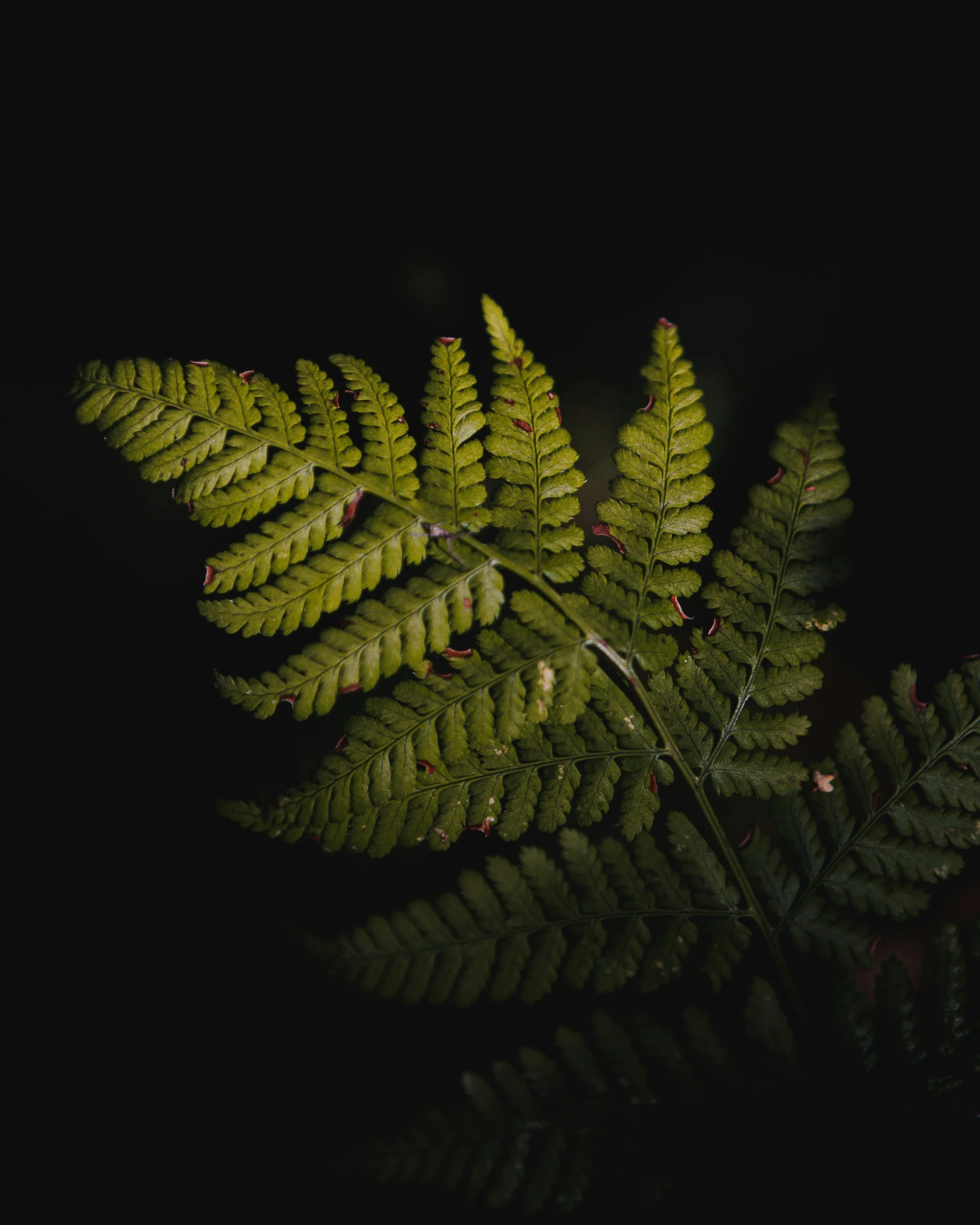 unsplash-image-16sBnMfBbCw.jpg