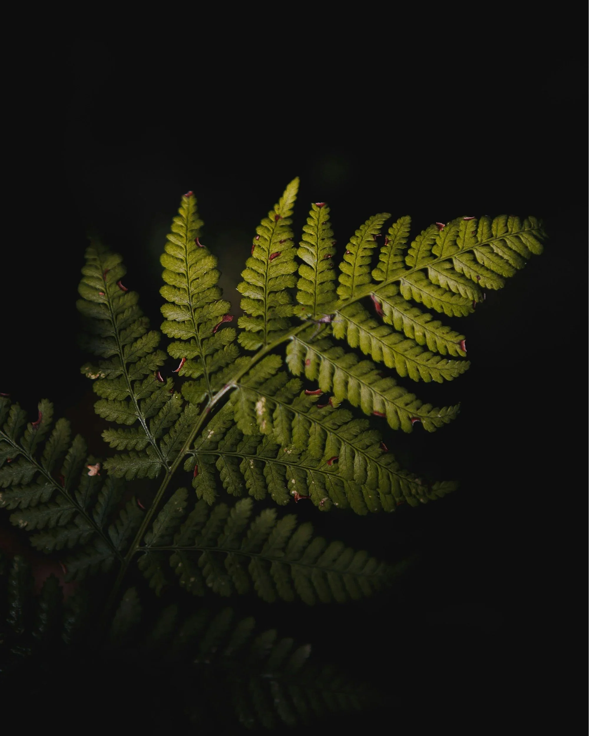 unsplash-image-16sBnMfBbCw.jpg