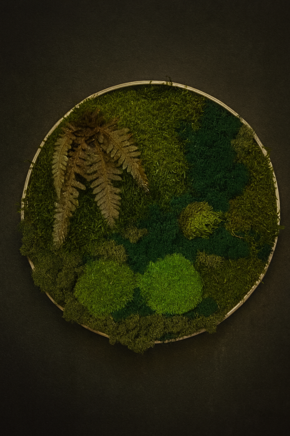 Moss artwork #4