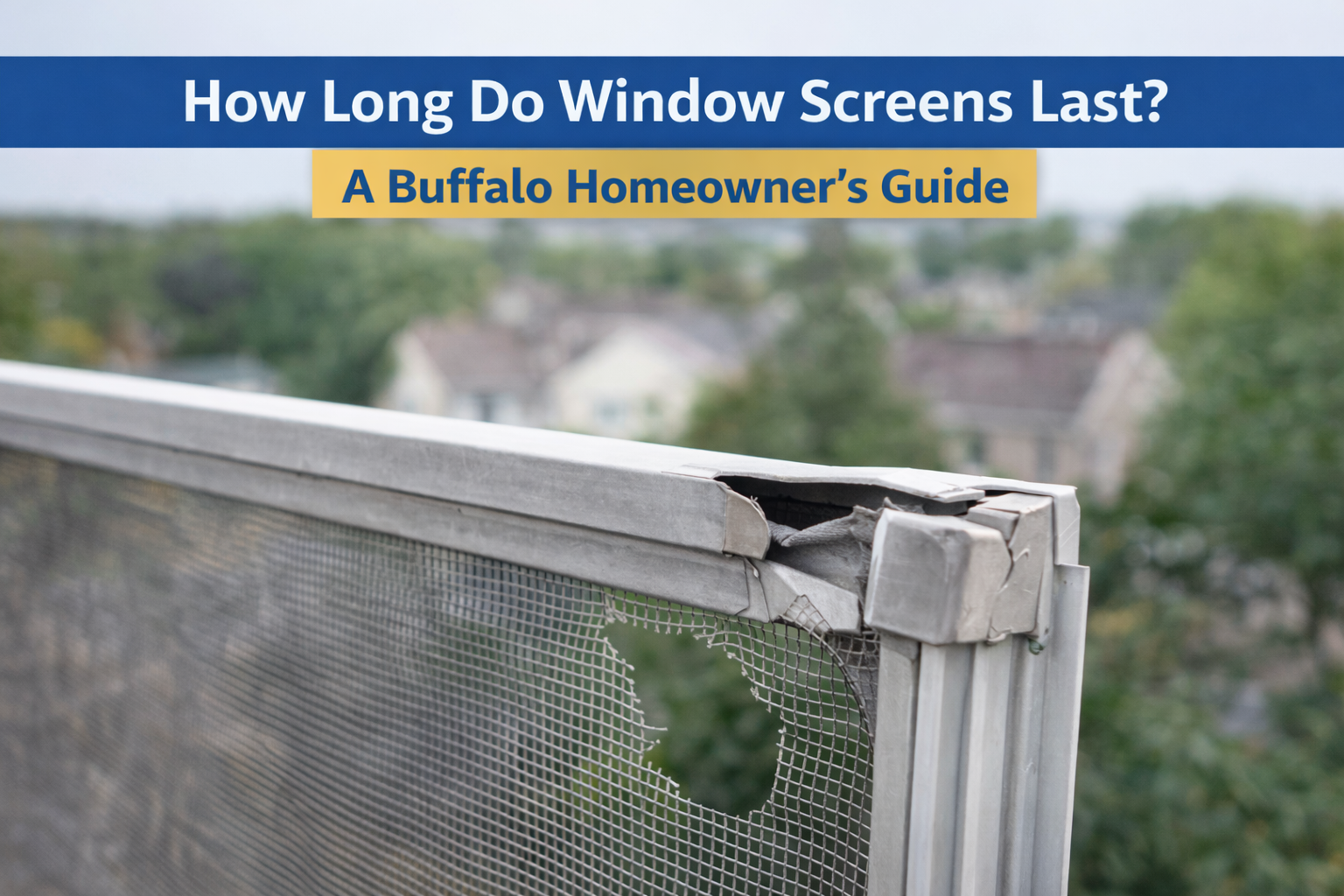 How Long Do Window Screens Last? A Buffalo Homeowner’s Guide