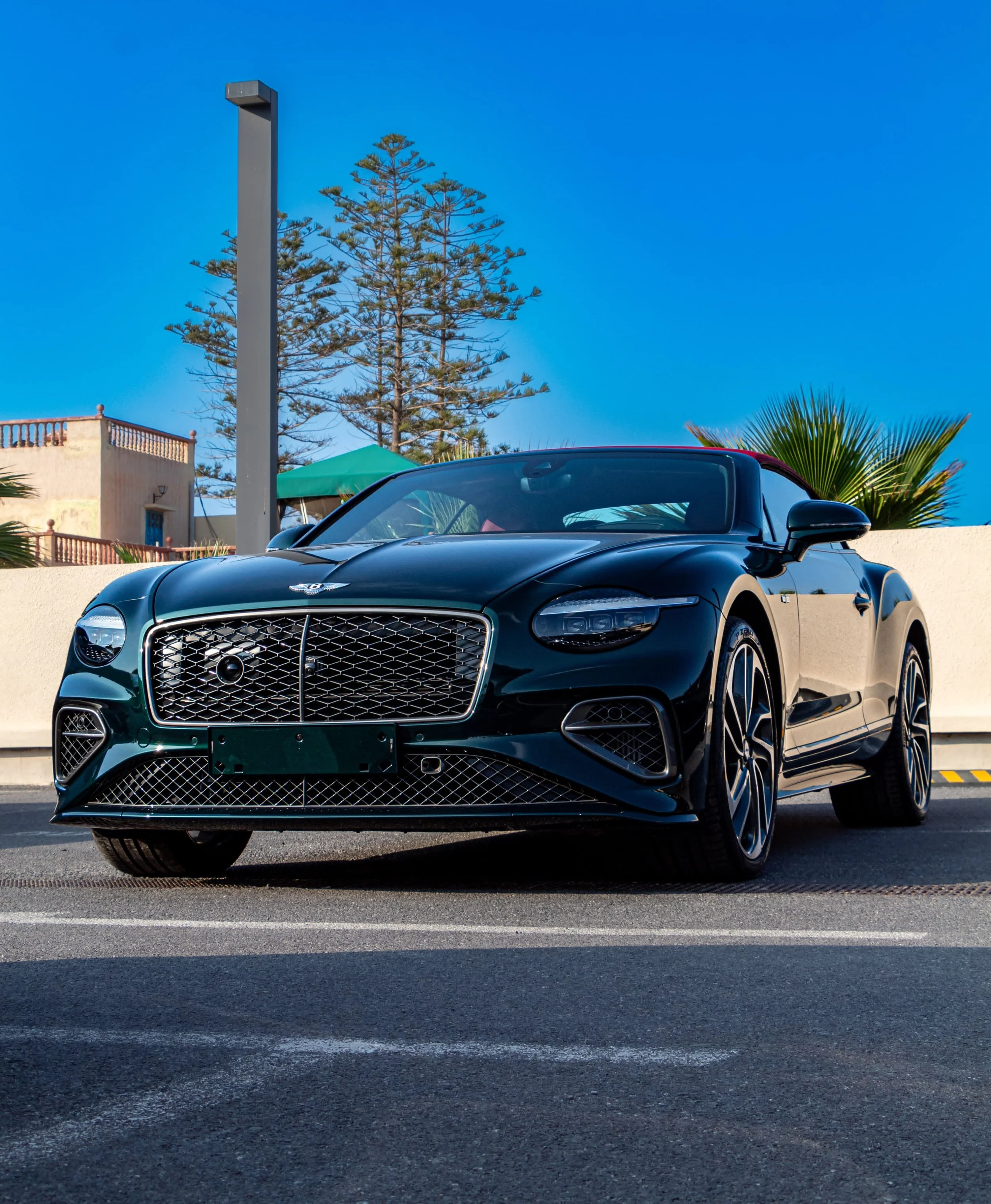 PHOTO-2025-05-05-18-58-48 4.jpg