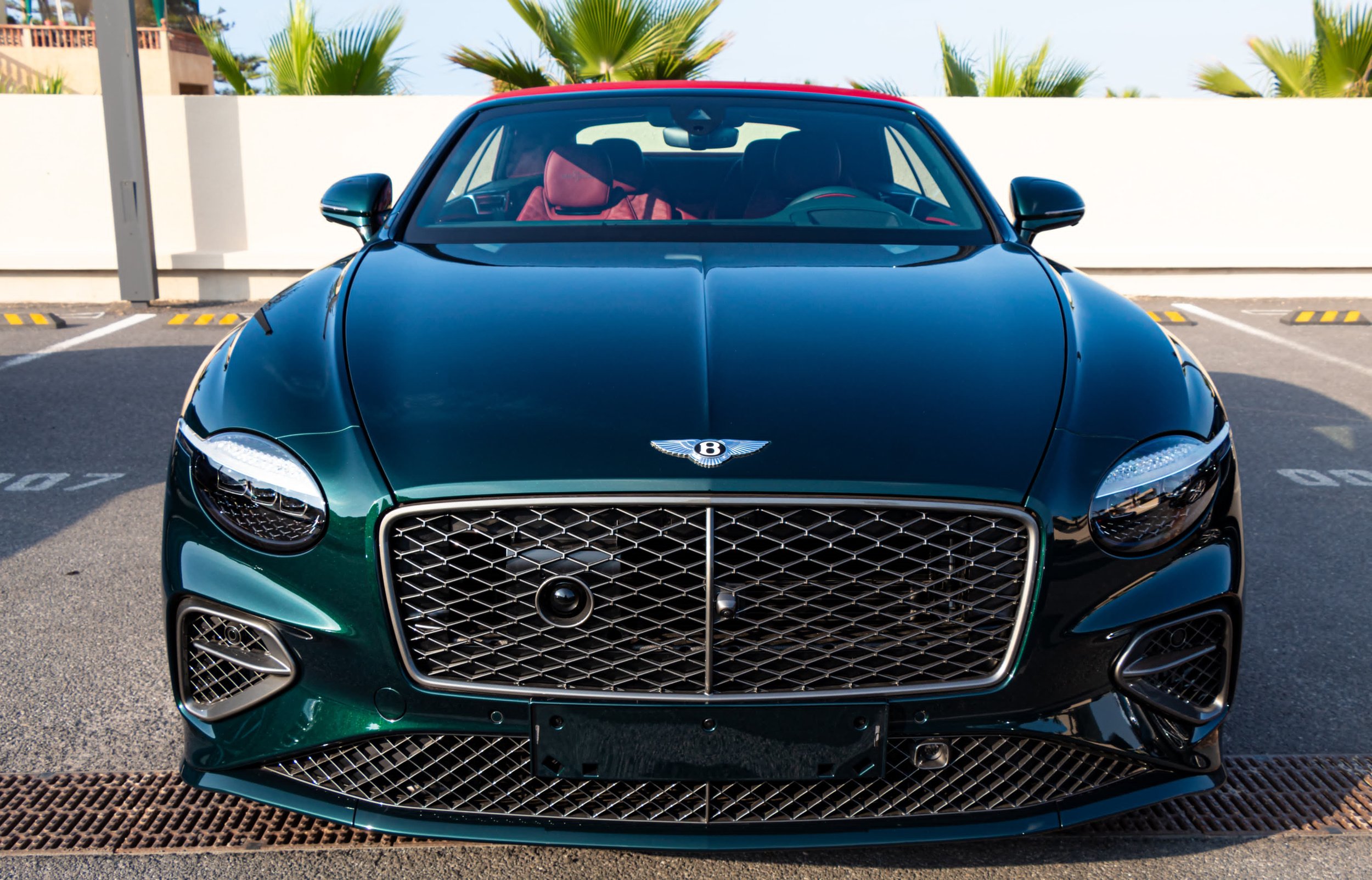 PHOTO-2025-05-05-18-58-48 3.jpg