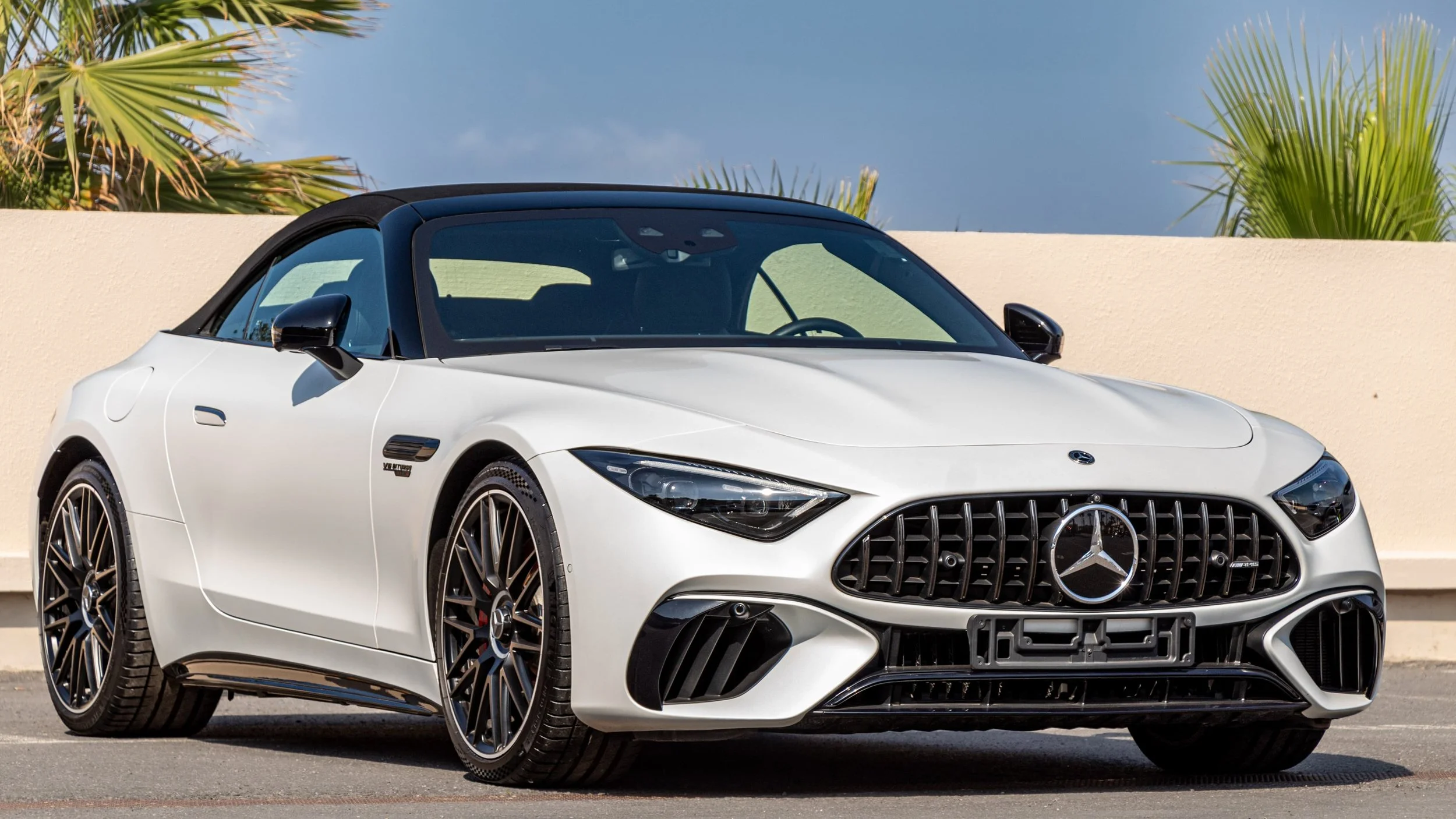 PHOTO-2025-05-04-22-19-42 2.jpg