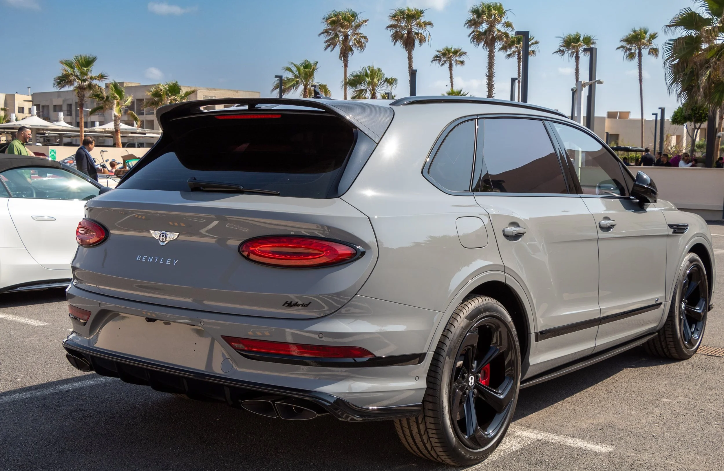 PHOTO-2025-05-04-22-19-13 2.jpg