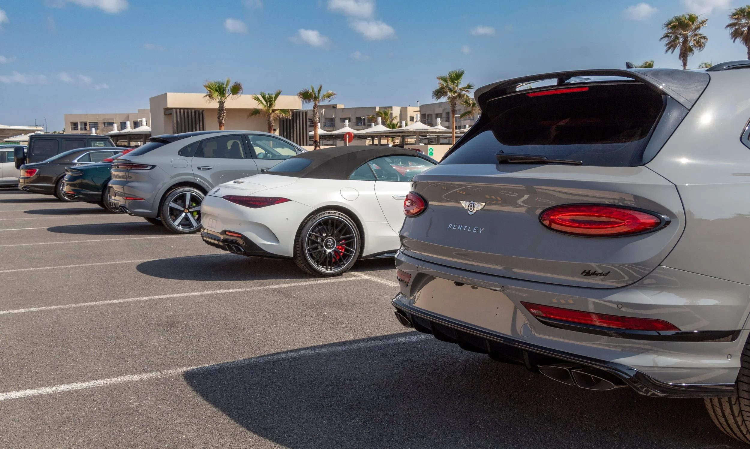 PHOTO-2025-05-04-22-19-13 3.jpg