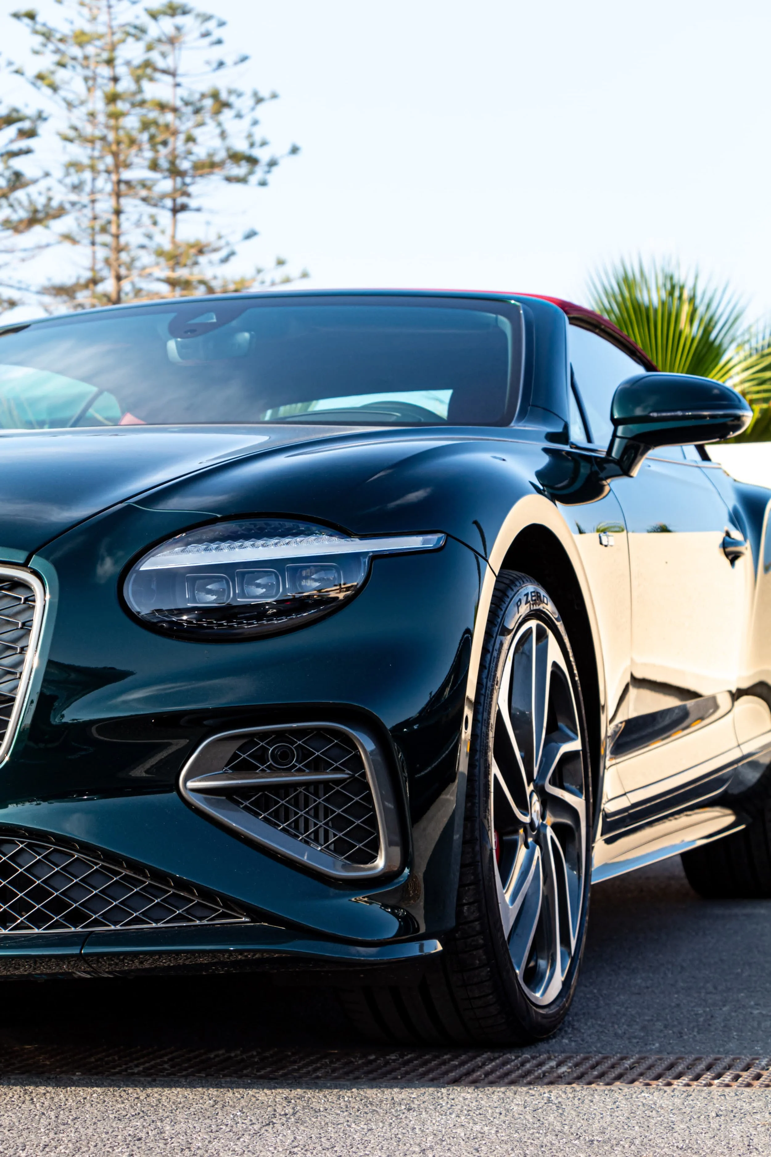 PHOTO-2025-05-05-18-59-00 2.jpg