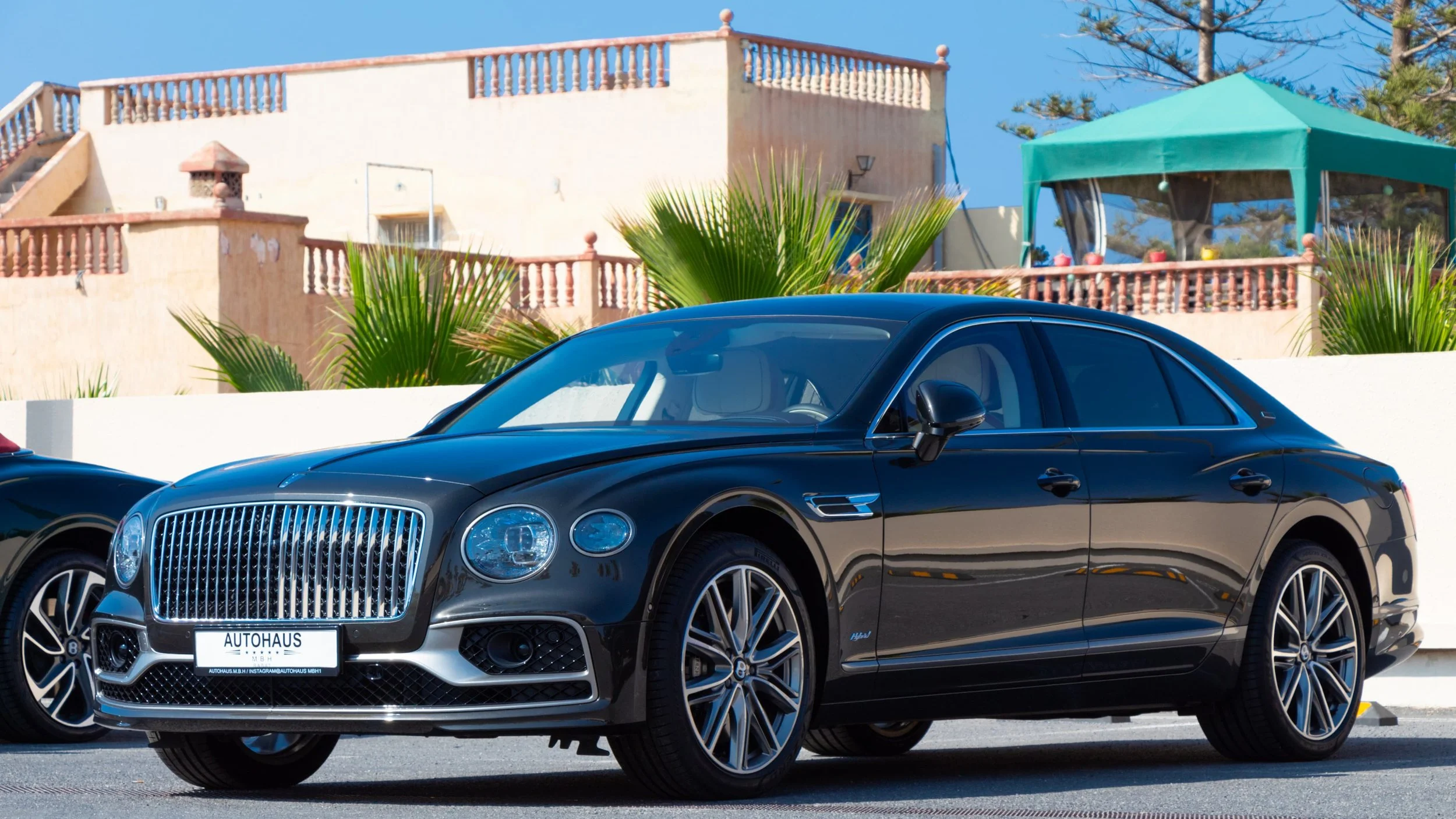 PHOTO-2025-05-04-22-18-43 3.jpg