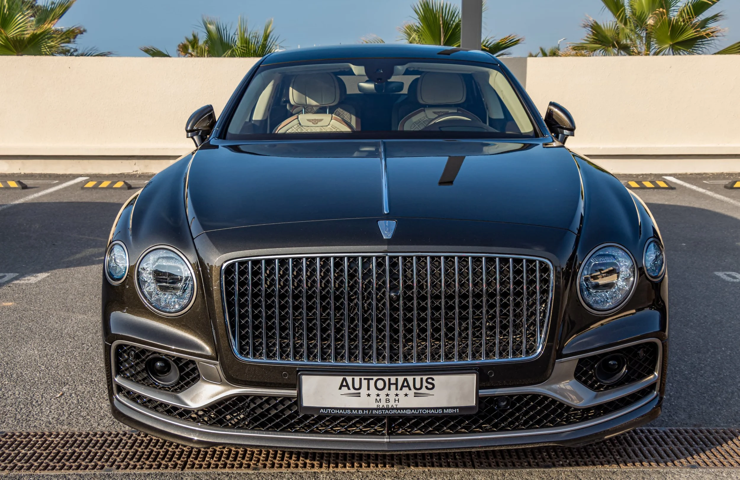 PHOTO-2025-05-05-18-58-48 2.jpg