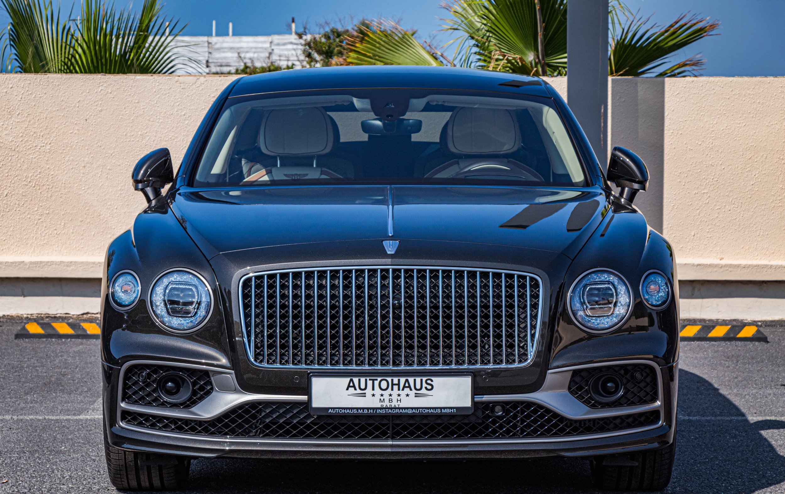 PHOTO-2025-05-04-22-18-43 4.jpg