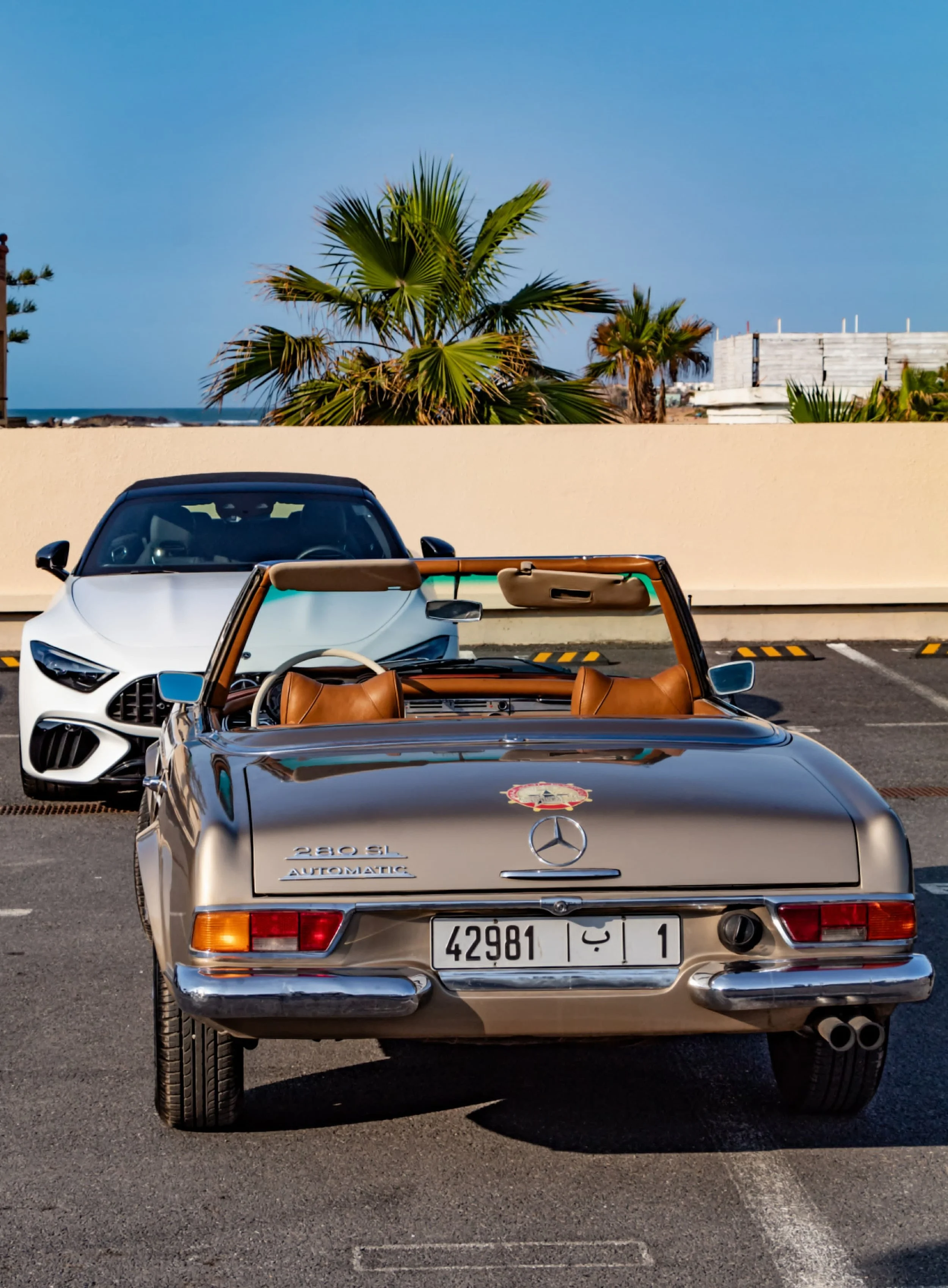 PHOTO-2025-05-05-18-58-39 2.jpg