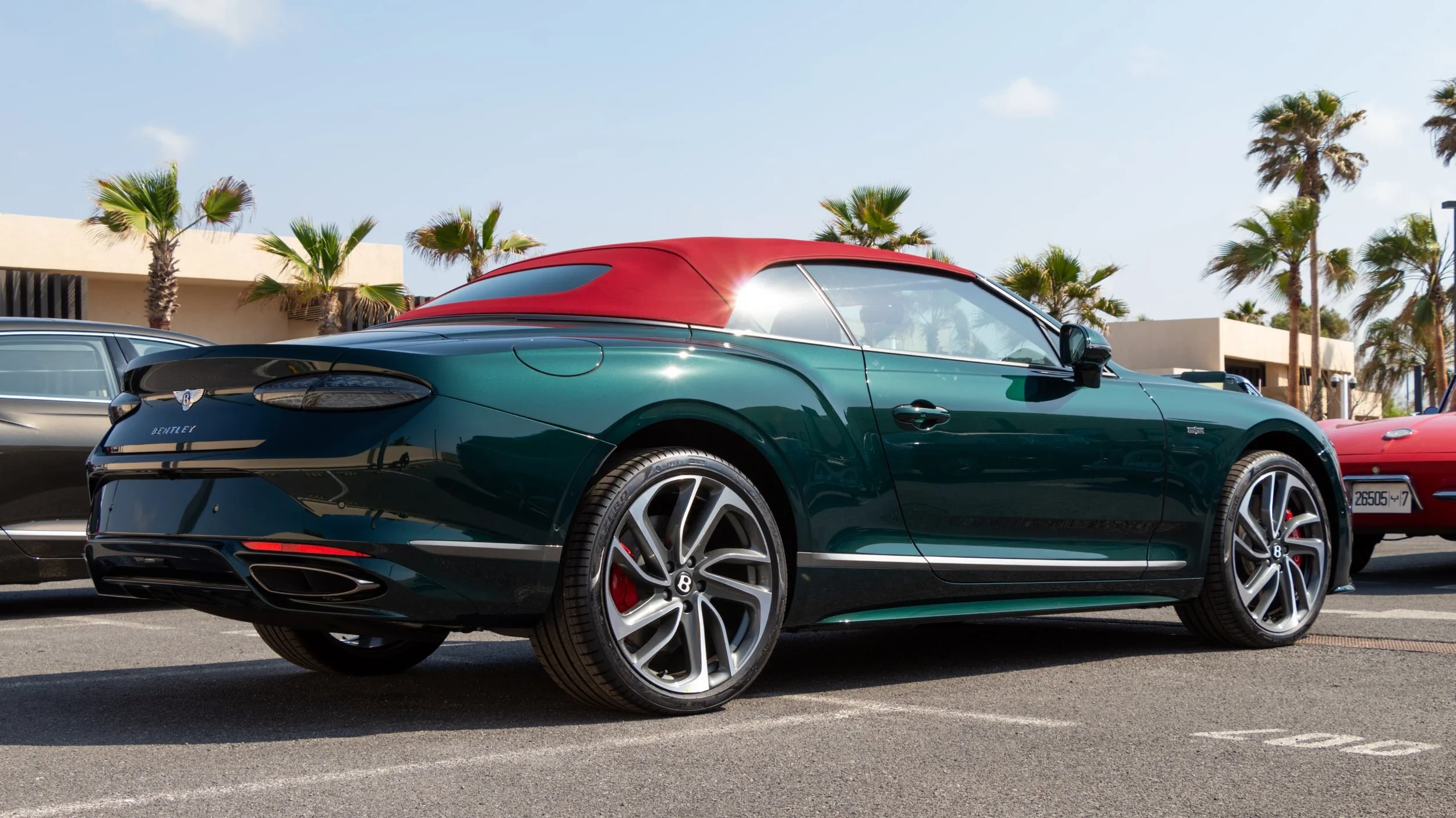 PHOTO-2025-05-04-22-18-41 2.jpg