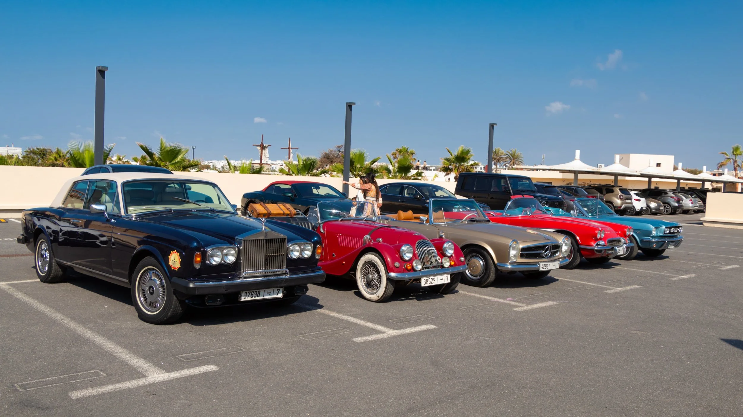 PHOTO-2025-05-04-22-19-16 3.jpg