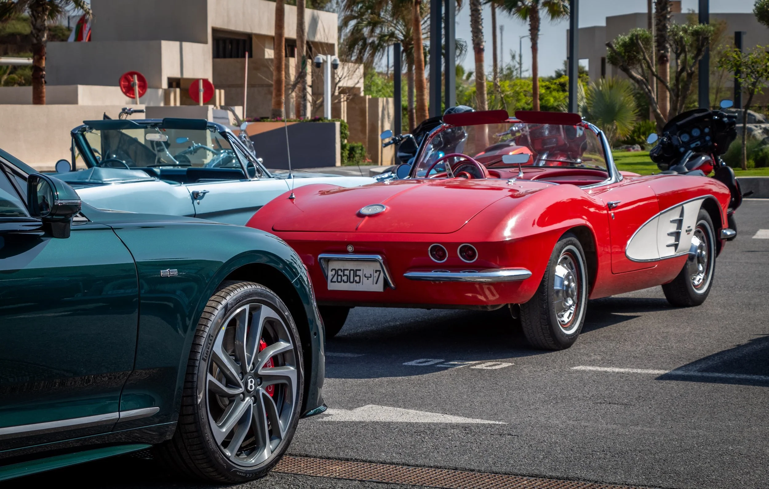 PHOTO-2025-05-04-22-18-43 2.jpg