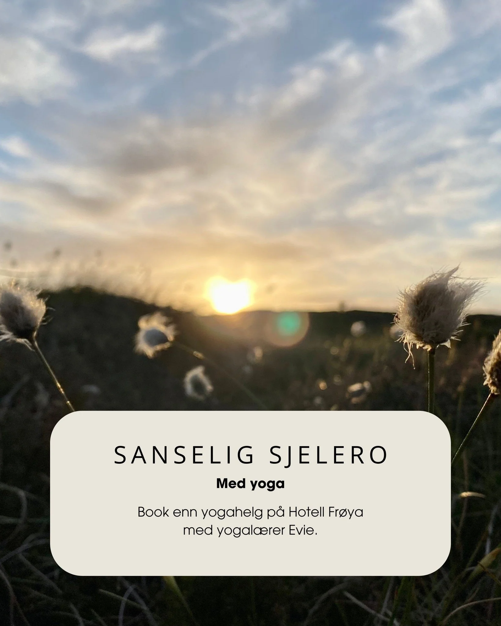 Sanselig sjelero // Book en yogahelg p&aring; Hotell Fr&oslash;ya 🪷

Er dere en gruppe venner, kollegaer eller bekjente som &oslash;nsker en opplevelse med ro, n&aelig;rv&aelig;r og bevegelse? Da kan en yogahelg p&aring; Hotell Fr&oslash;ya v&aelig;