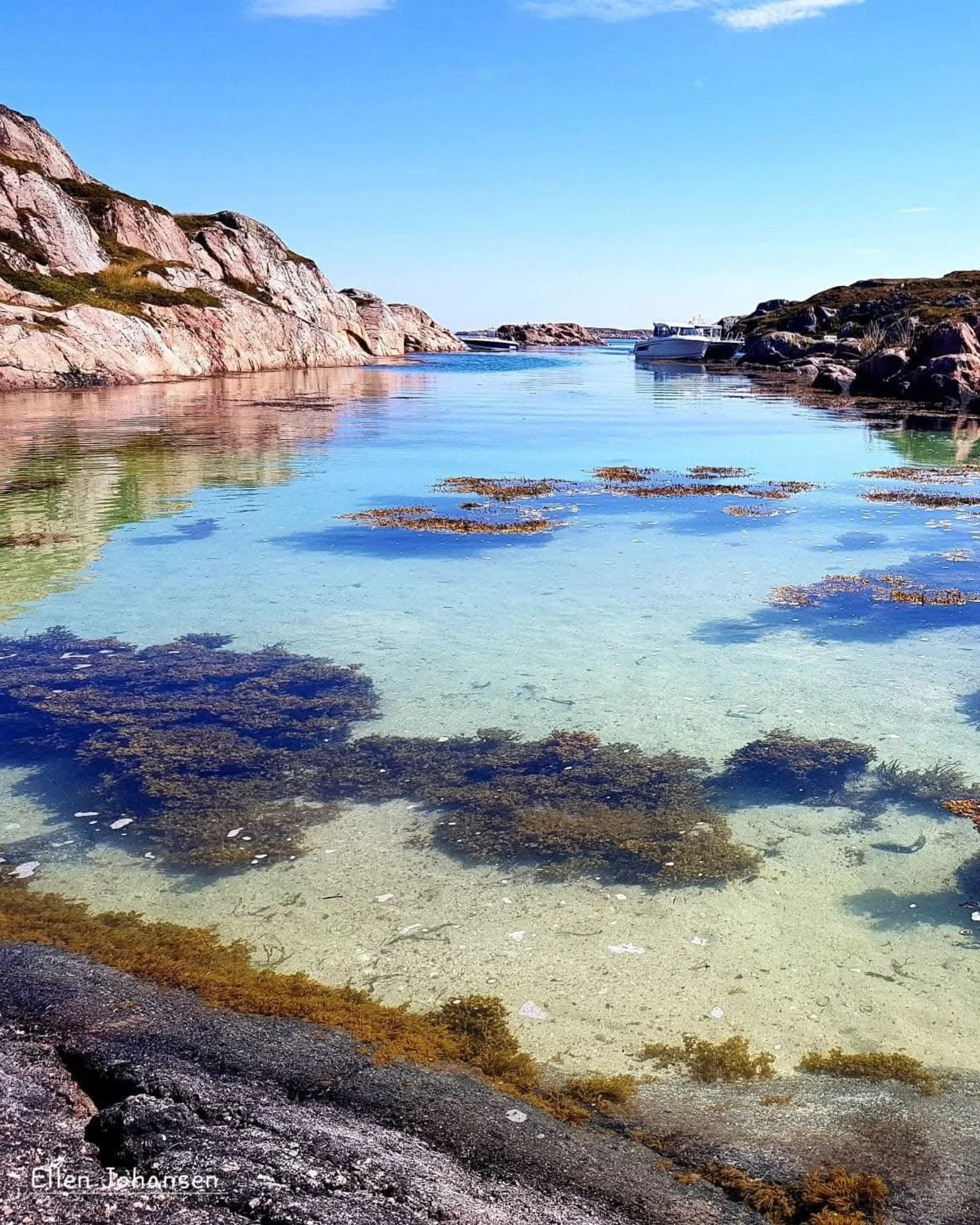Dr&oslash;mmer oss bort til Fr&oslash;yasommer og badetemperaturer 💭🌸🩱

Foto: Ellen Johansen

#hotellfr&oslash;ya #fr&oslash;ya #visitfr&oslash;ya #visittr&oslash;ndelag #visitnorway #utno