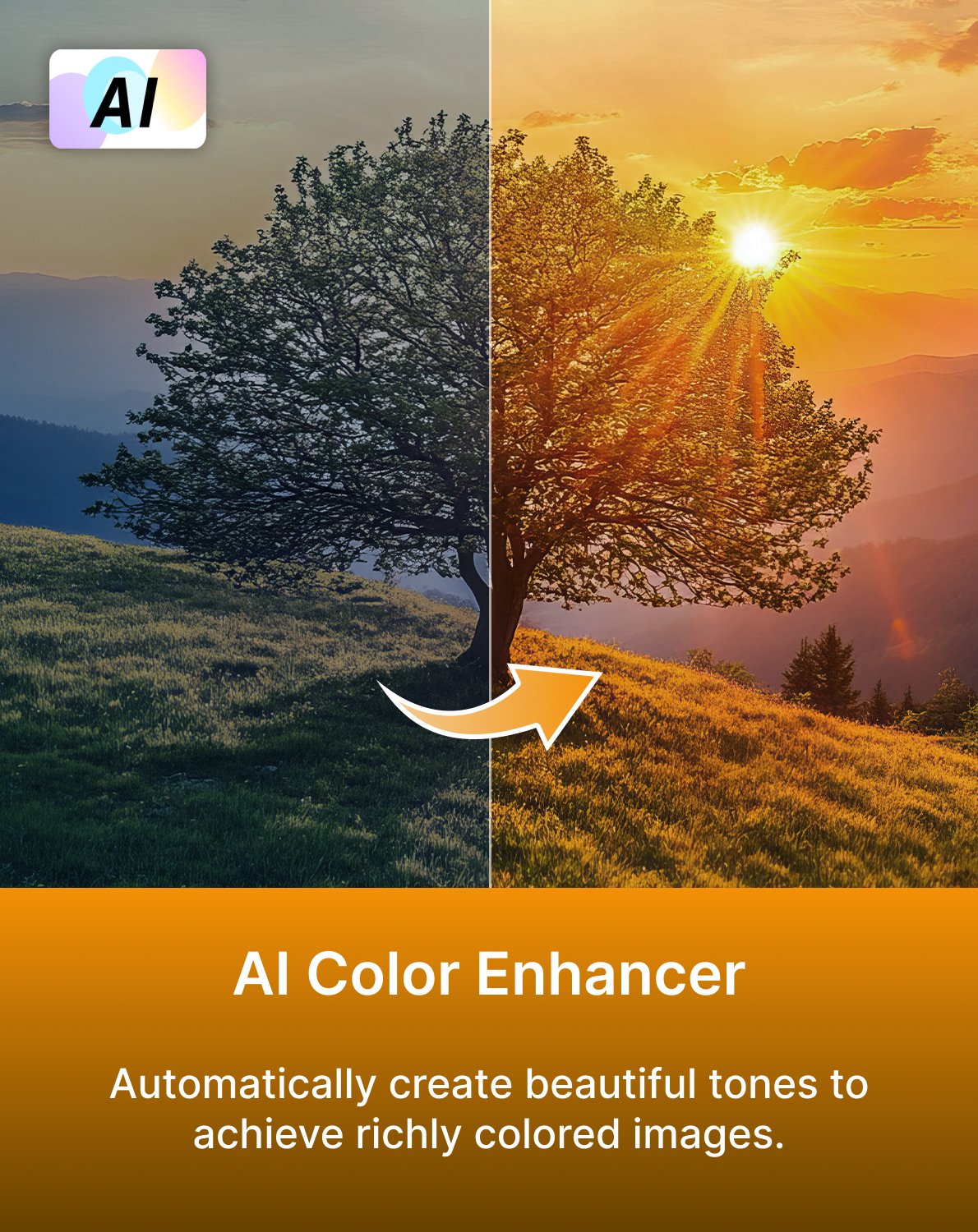 AI Color Enhancer​.jpg
