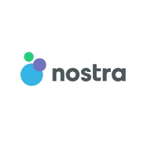 Nostra IT Logo.png