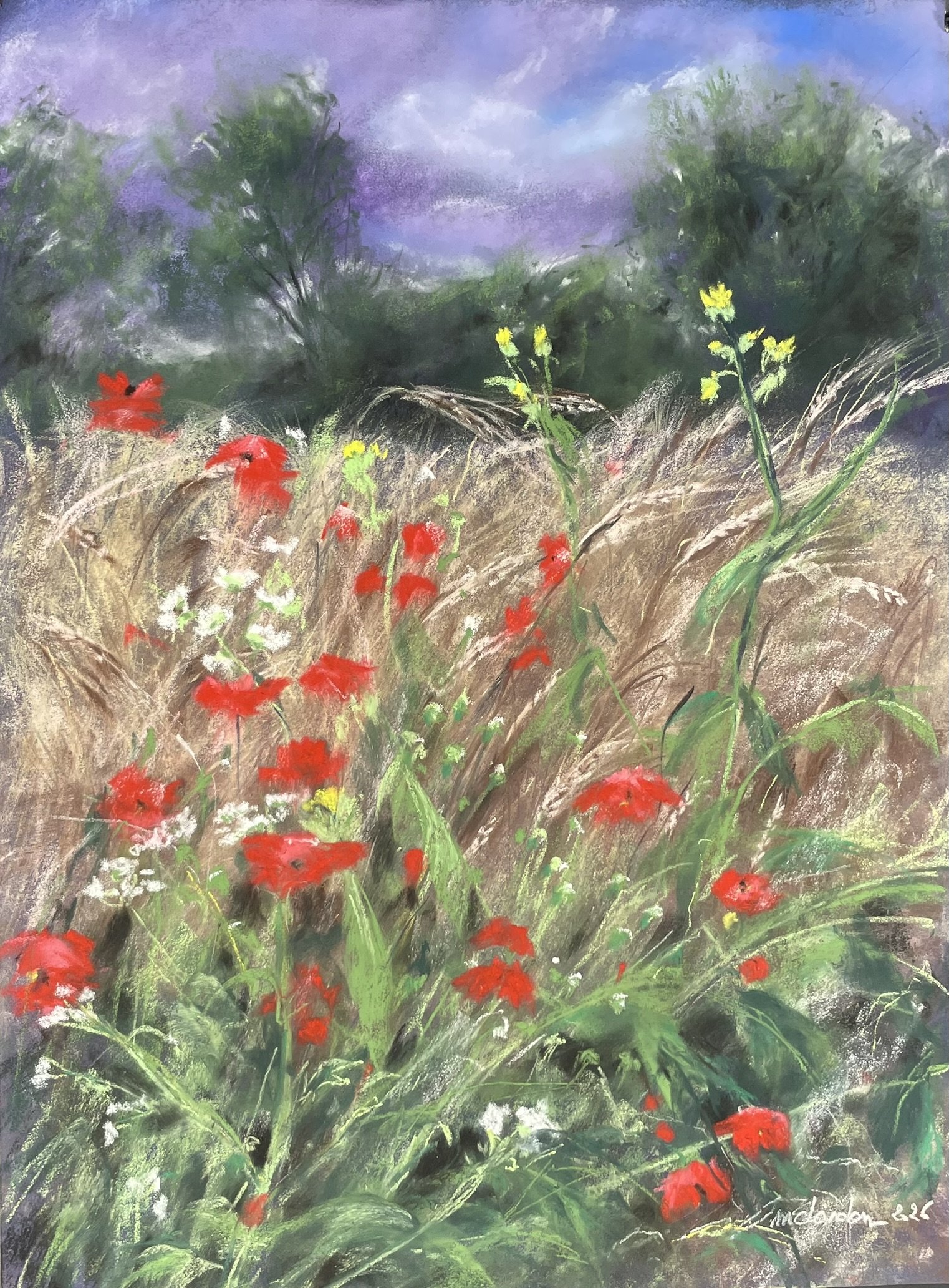 Le champ de coquelicots
Pastels secs Format 30x40
Tarif 150 €

