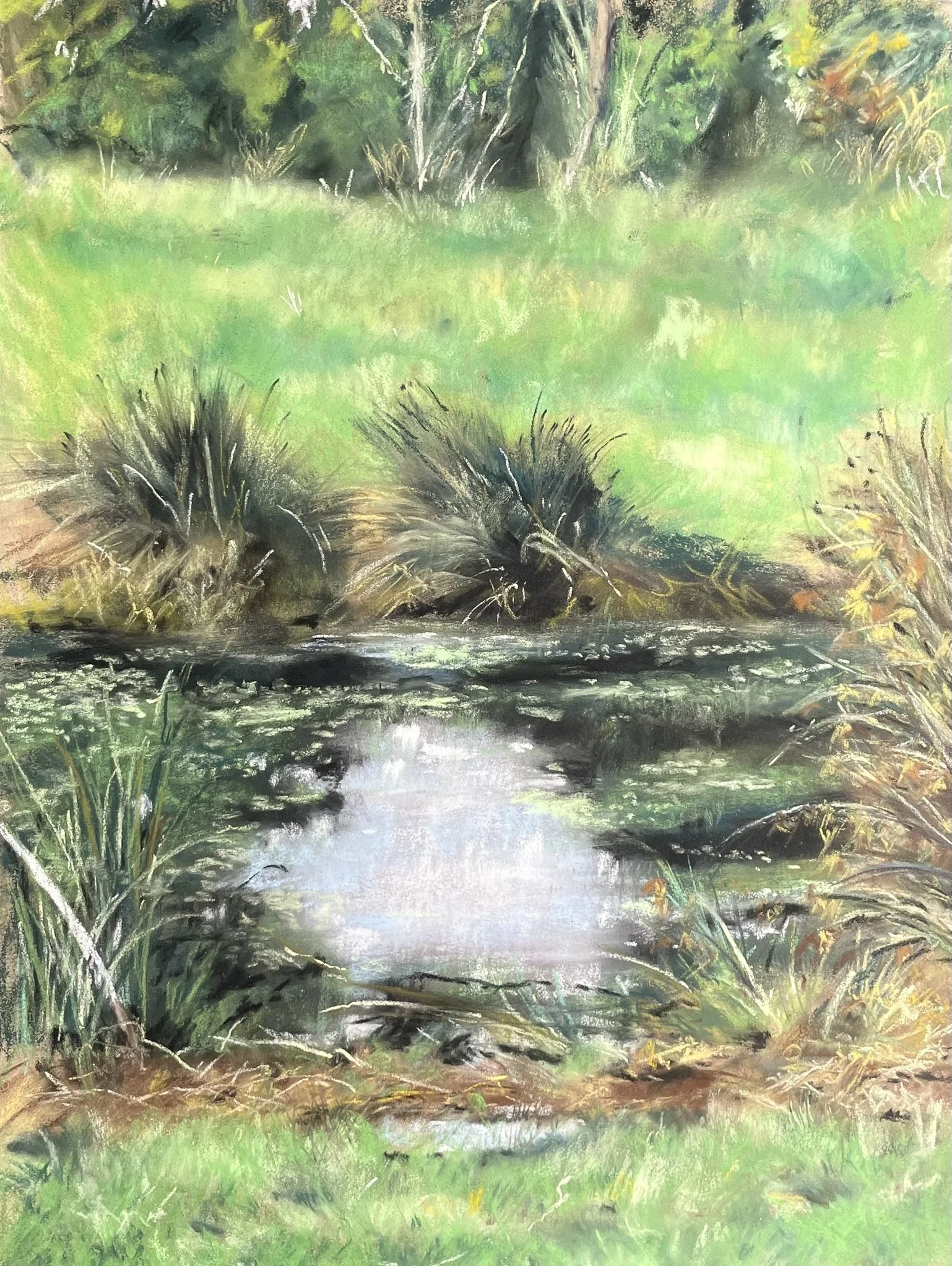 Sérénité, l'étang sur la Borne blanche
Pastels secs Format 30x40 cm
Tarif 210 €
