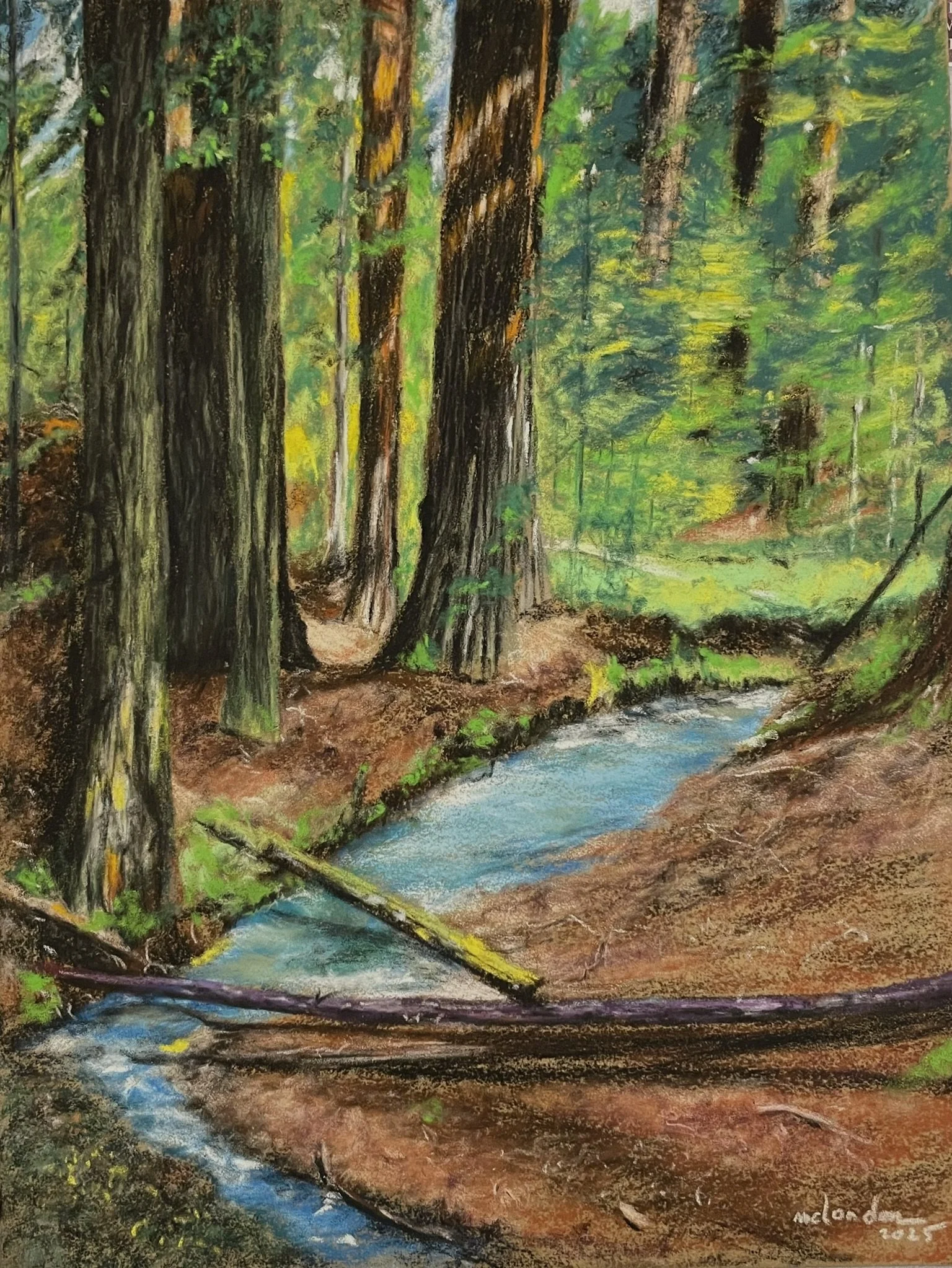 L'eau vive à l'ombre du feuillage
Pastels secs Format 24x30 cm
Tarif 100 €