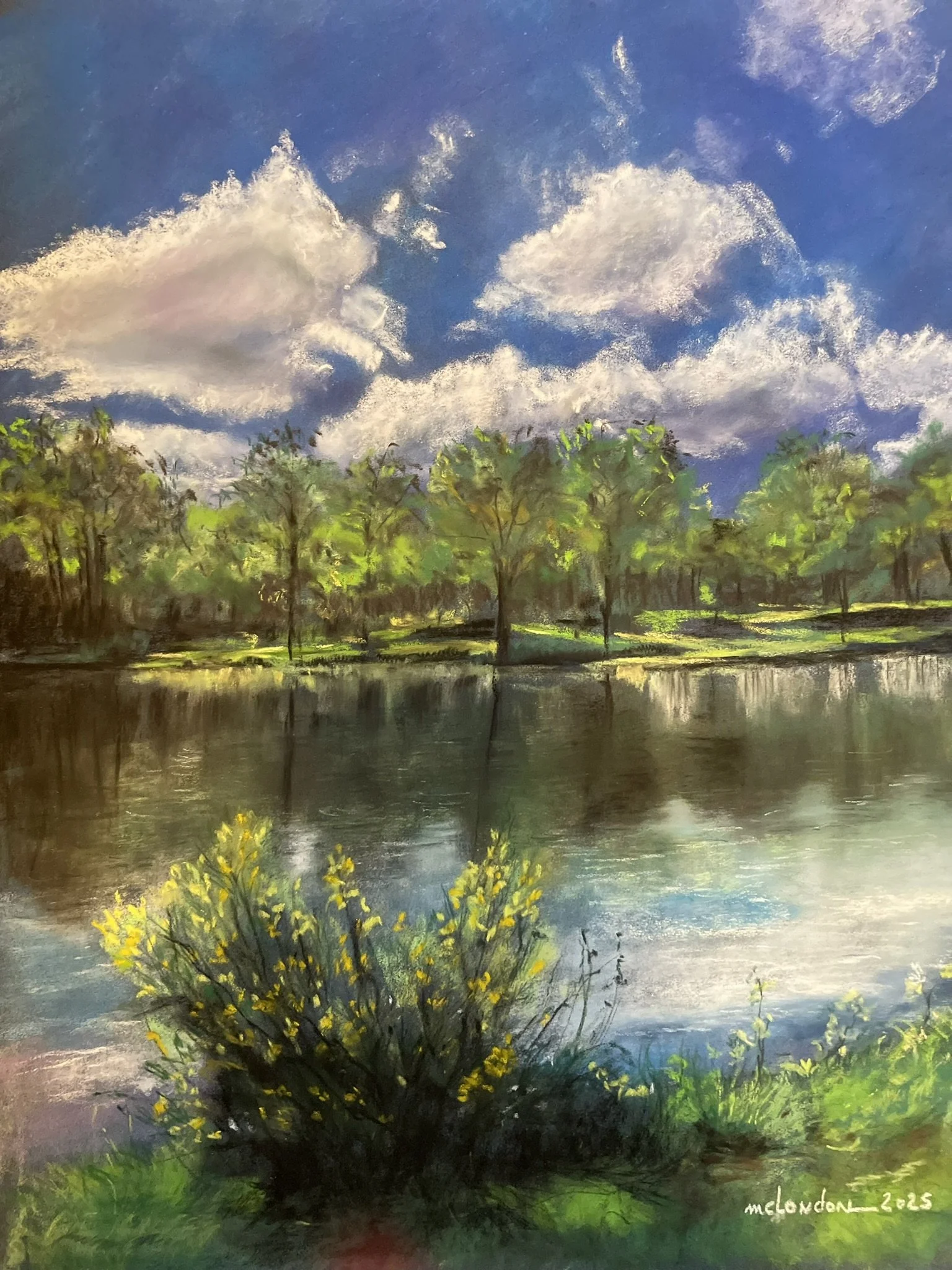 Parc de la Sablière, Challans
   Cliquer sur l'image pour + d'infos