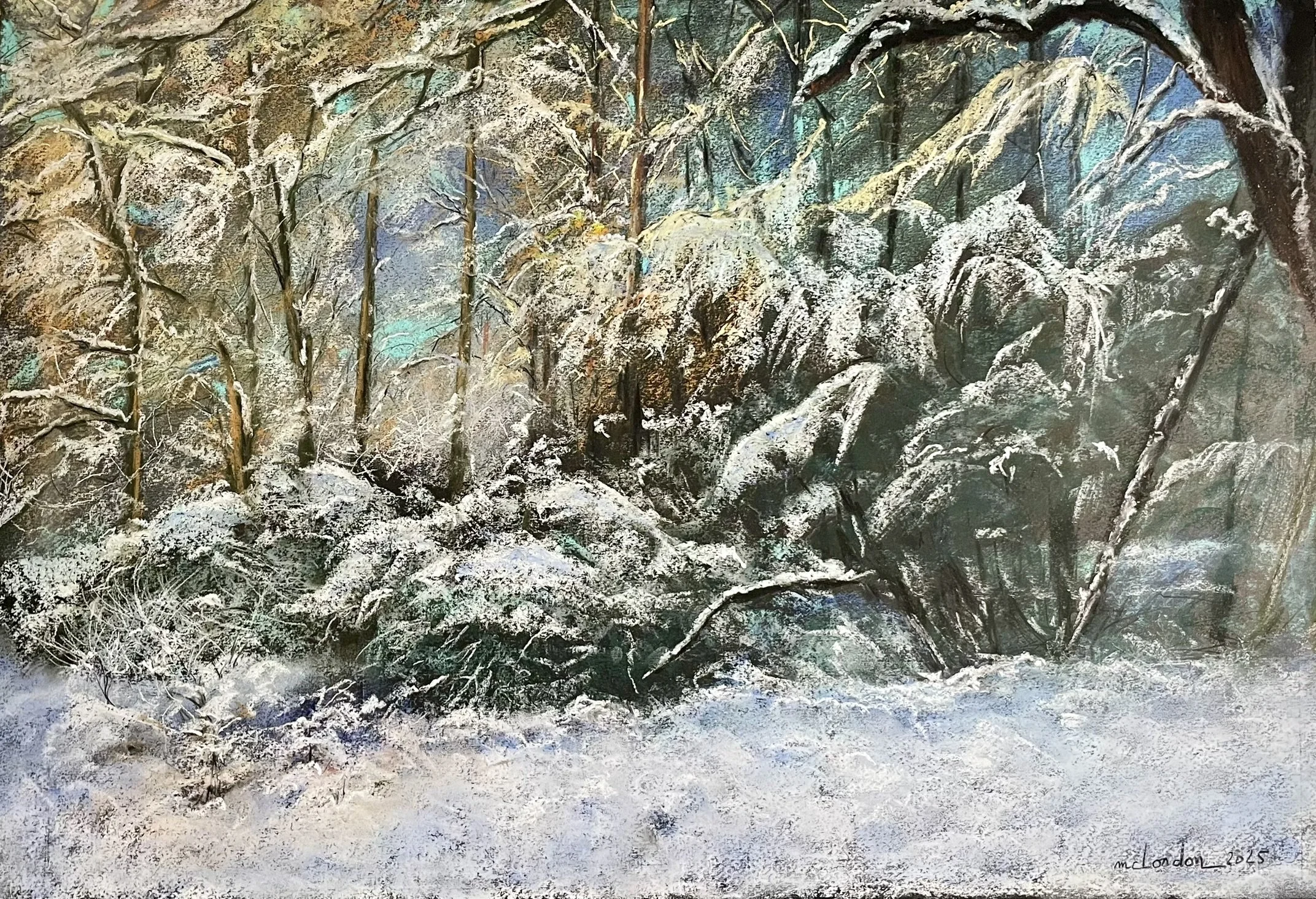 Sous le manteau d'or et de givre, Variation saisonnière Foret de Sénart