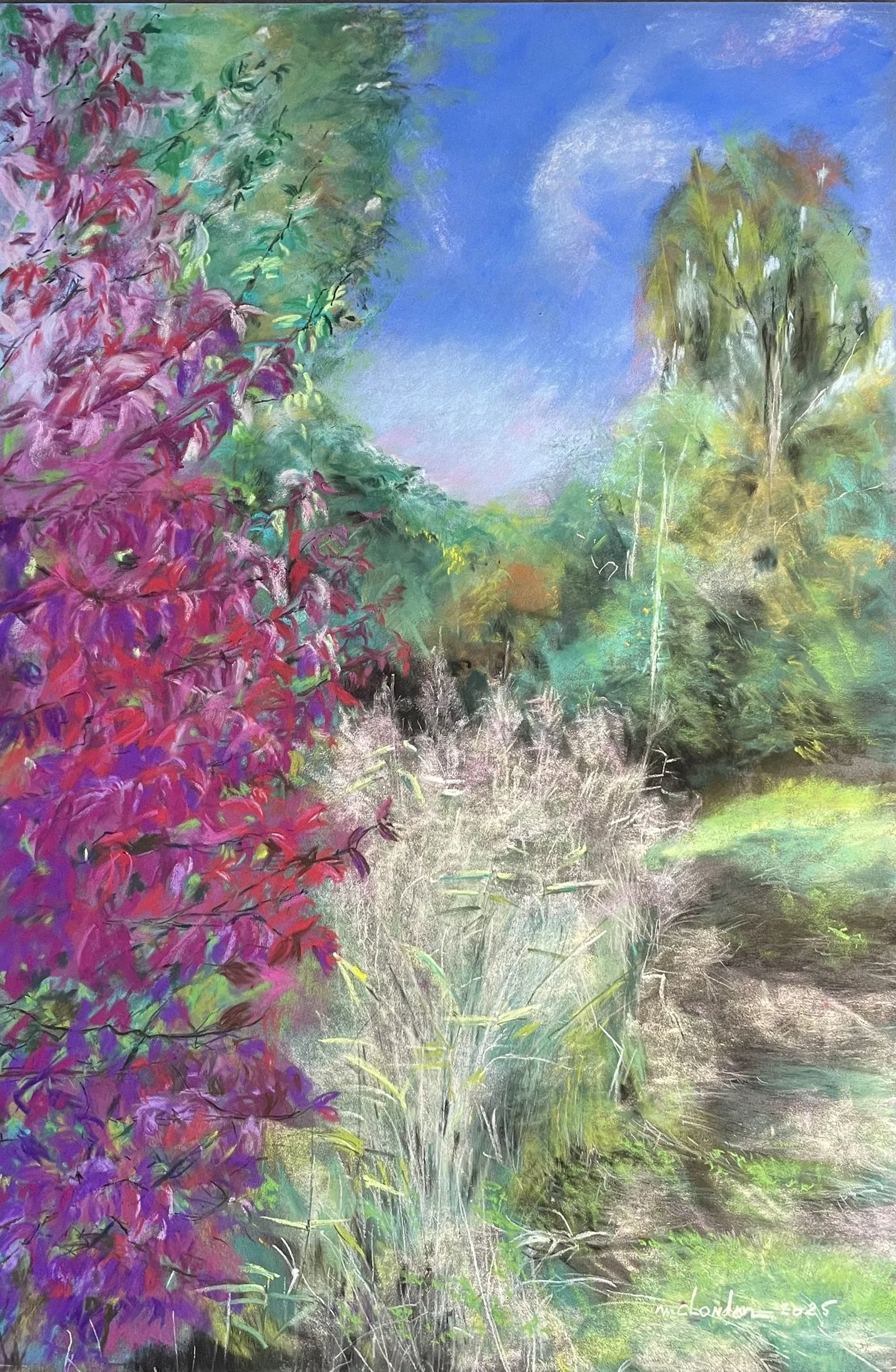 La borne blanche aux couleurs d'automne, Variation saisonnière Foret de Sénart