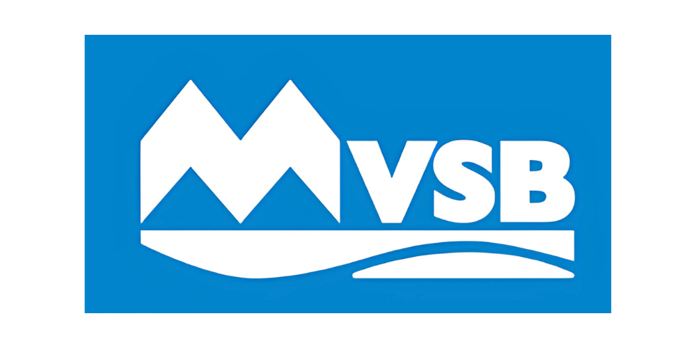 Blue rectangle with white stylized mountain peaks, waves below, and the bold text 'VSB'.