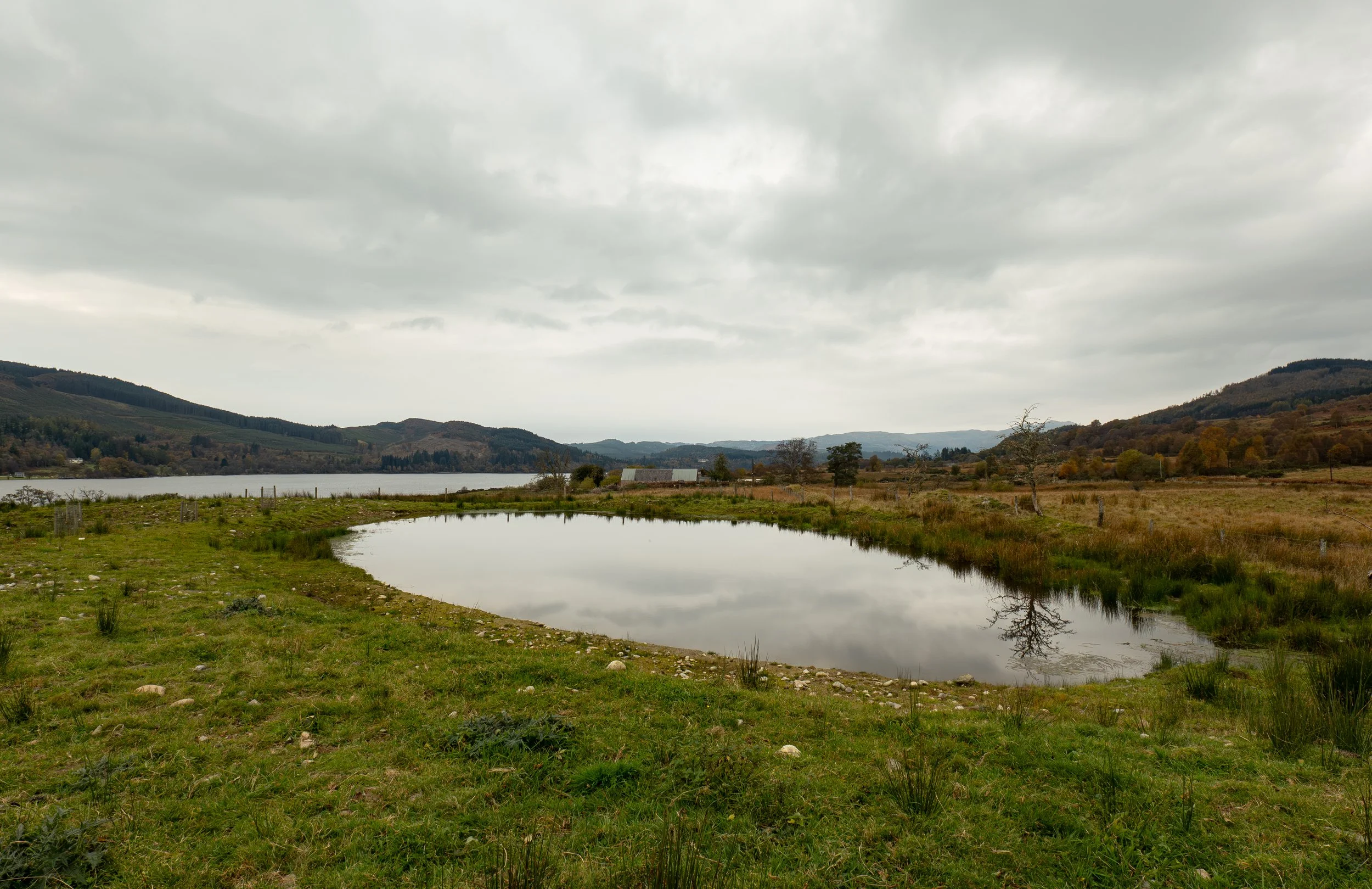 Milton Lochside_Loch Stevie_18 Oct 25.jpg