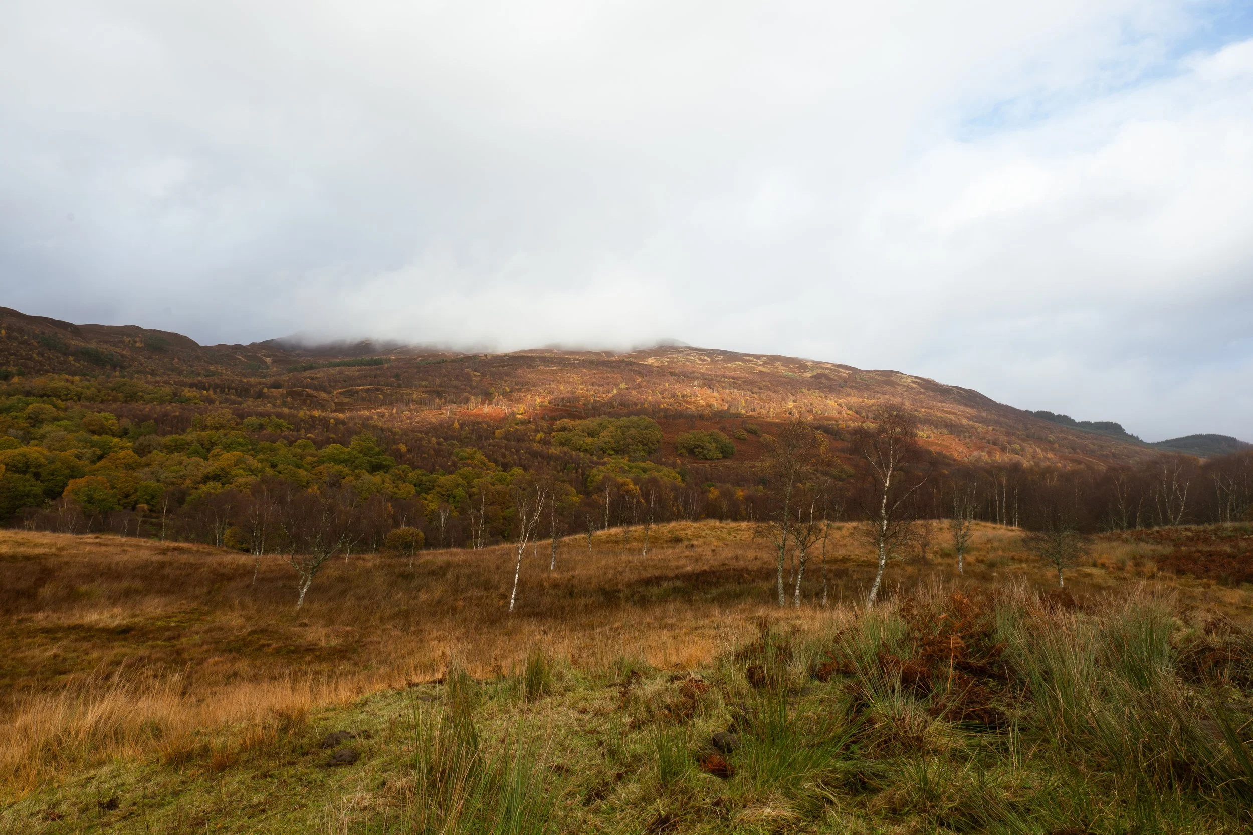 The Druim_view of Lendrick hill_2_Nov_25.jpg