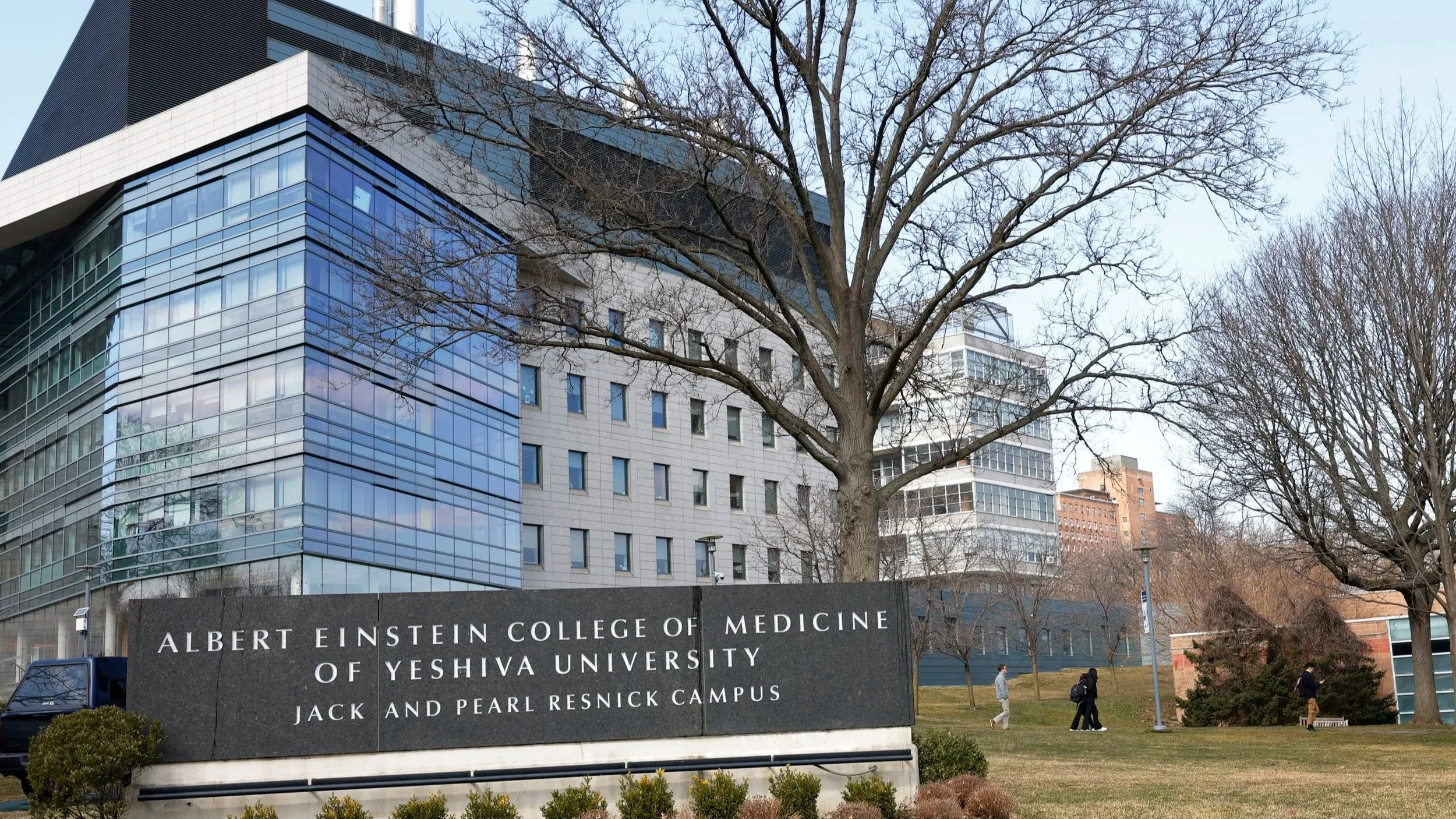 Albert Einstein College of Medicine 