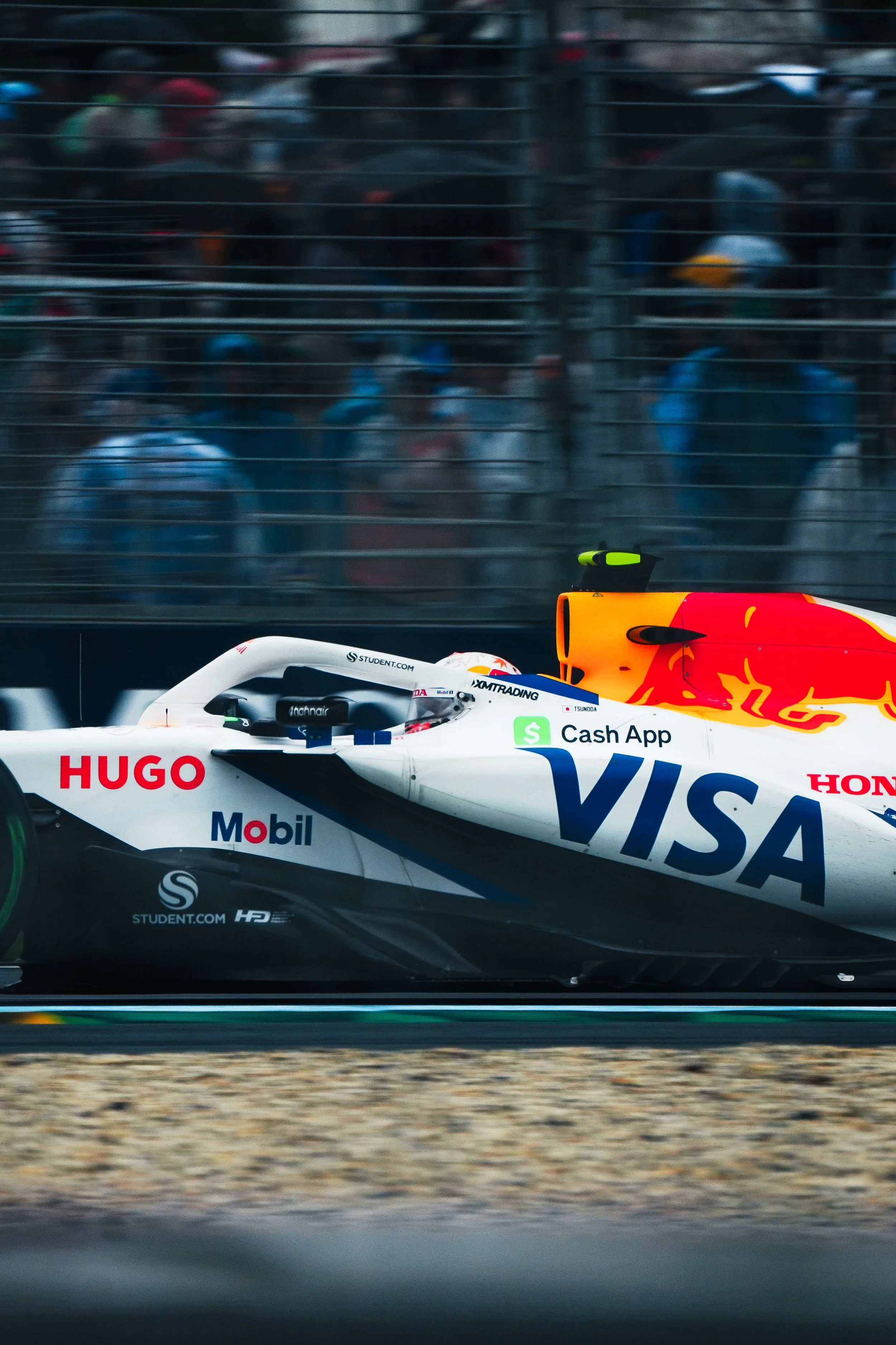 DSC06980_Original 2.JPG