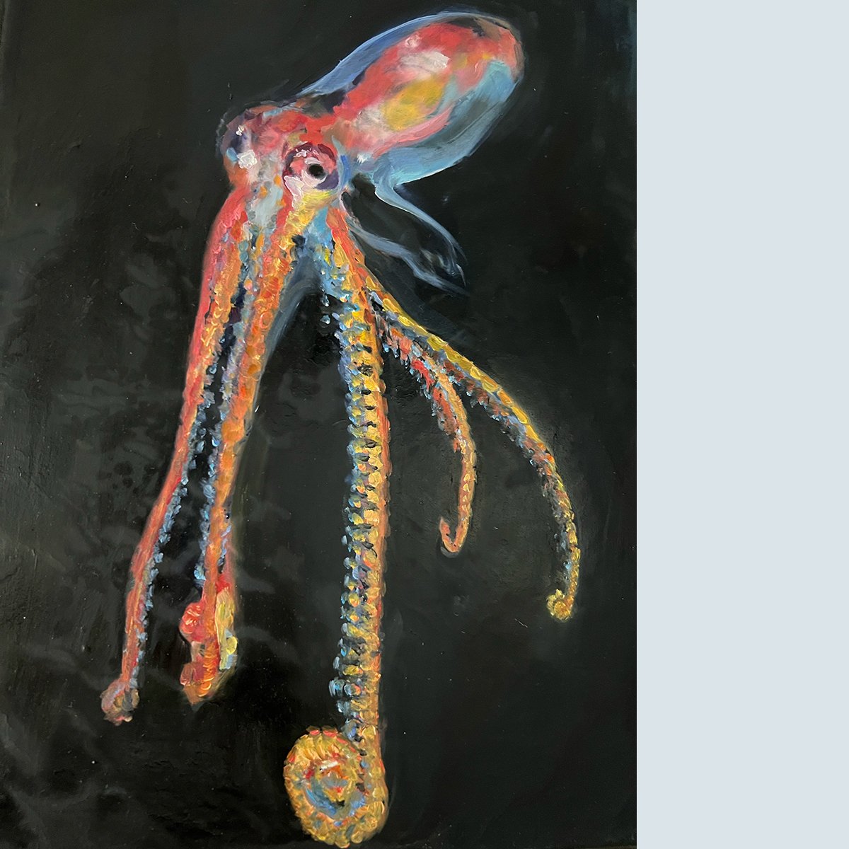 Octopus