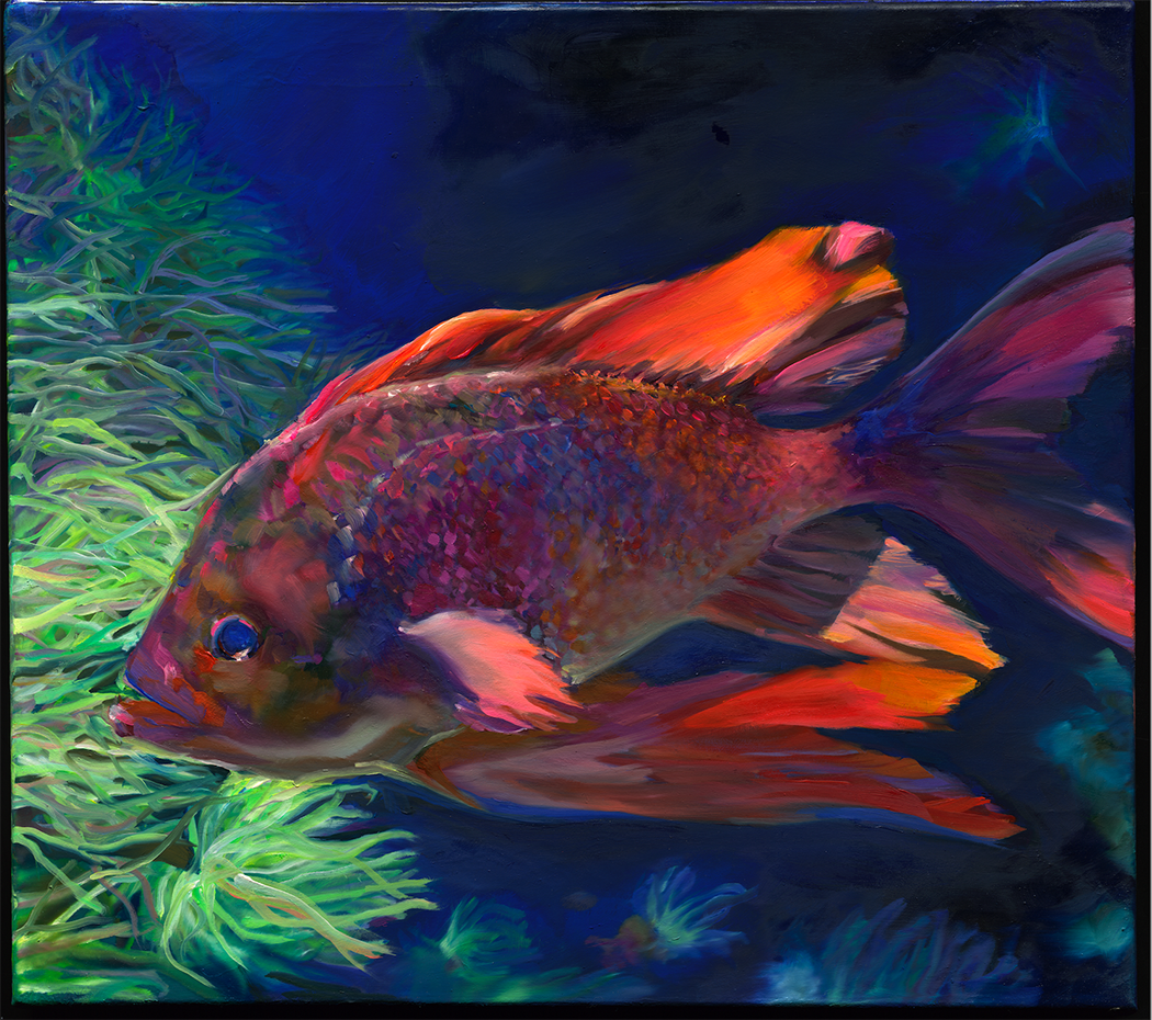 DER_FISCH.png