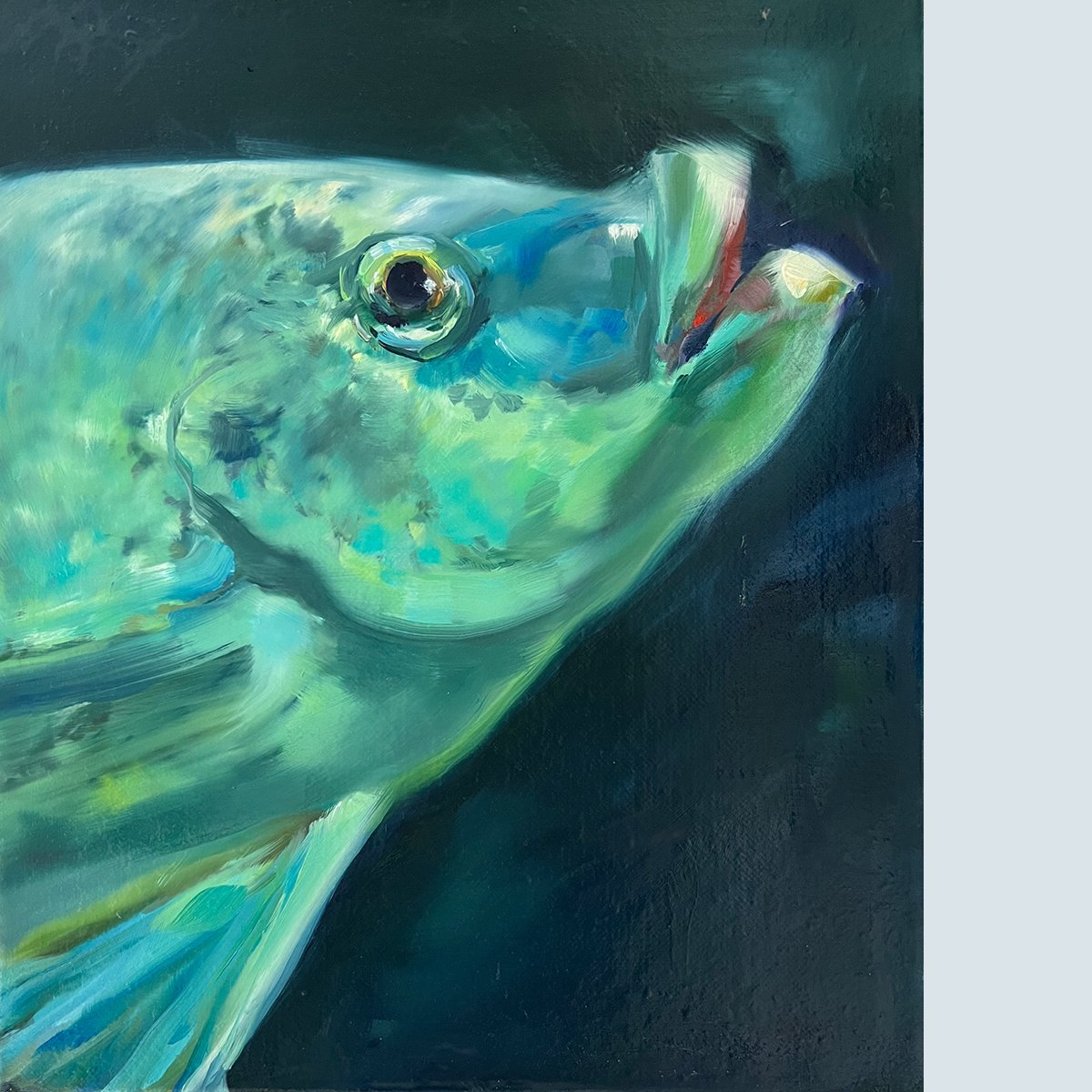 Fisch türkis