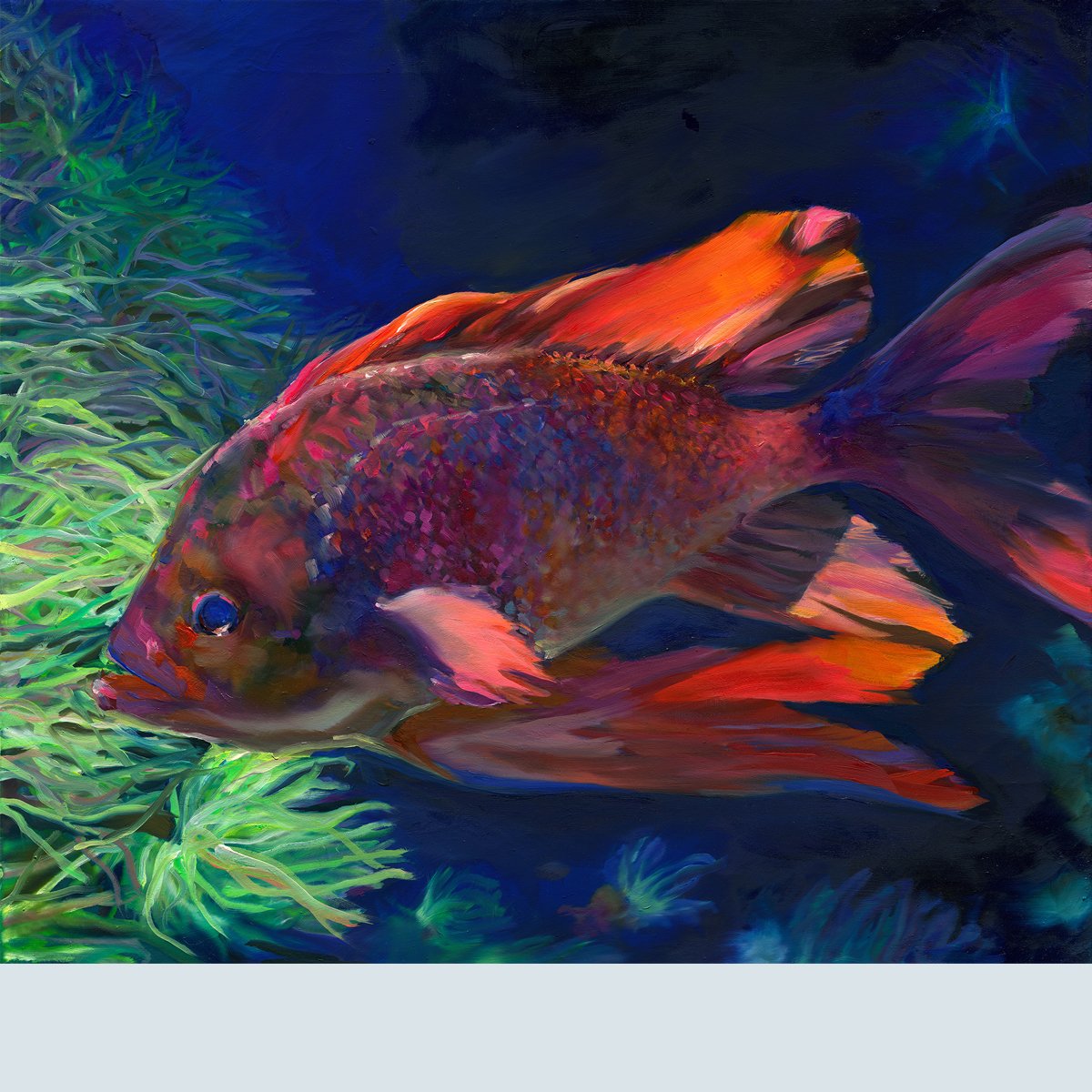 Der Fisch