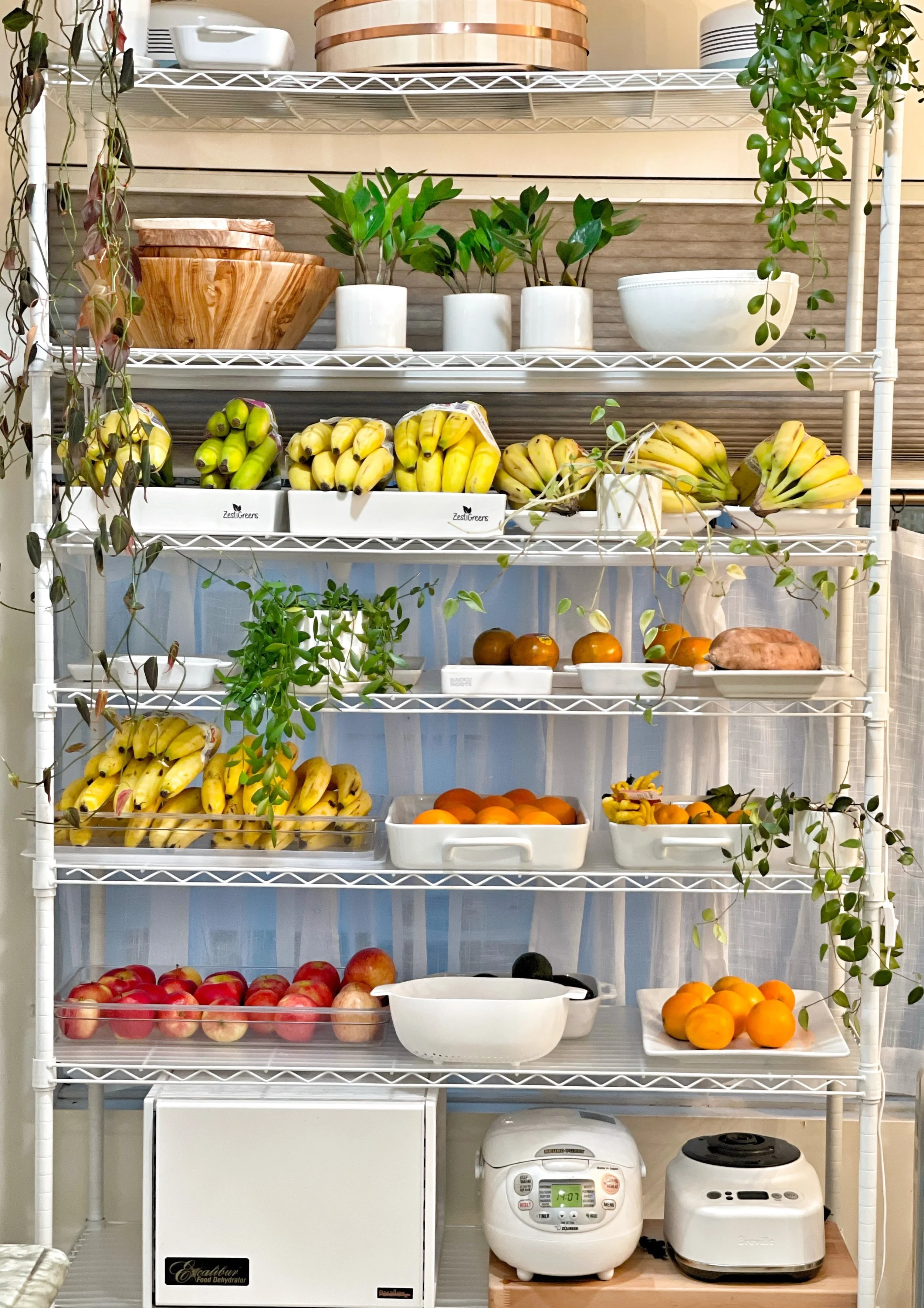 Introducing My Life Size Vision Board: The Fruit Shelfie