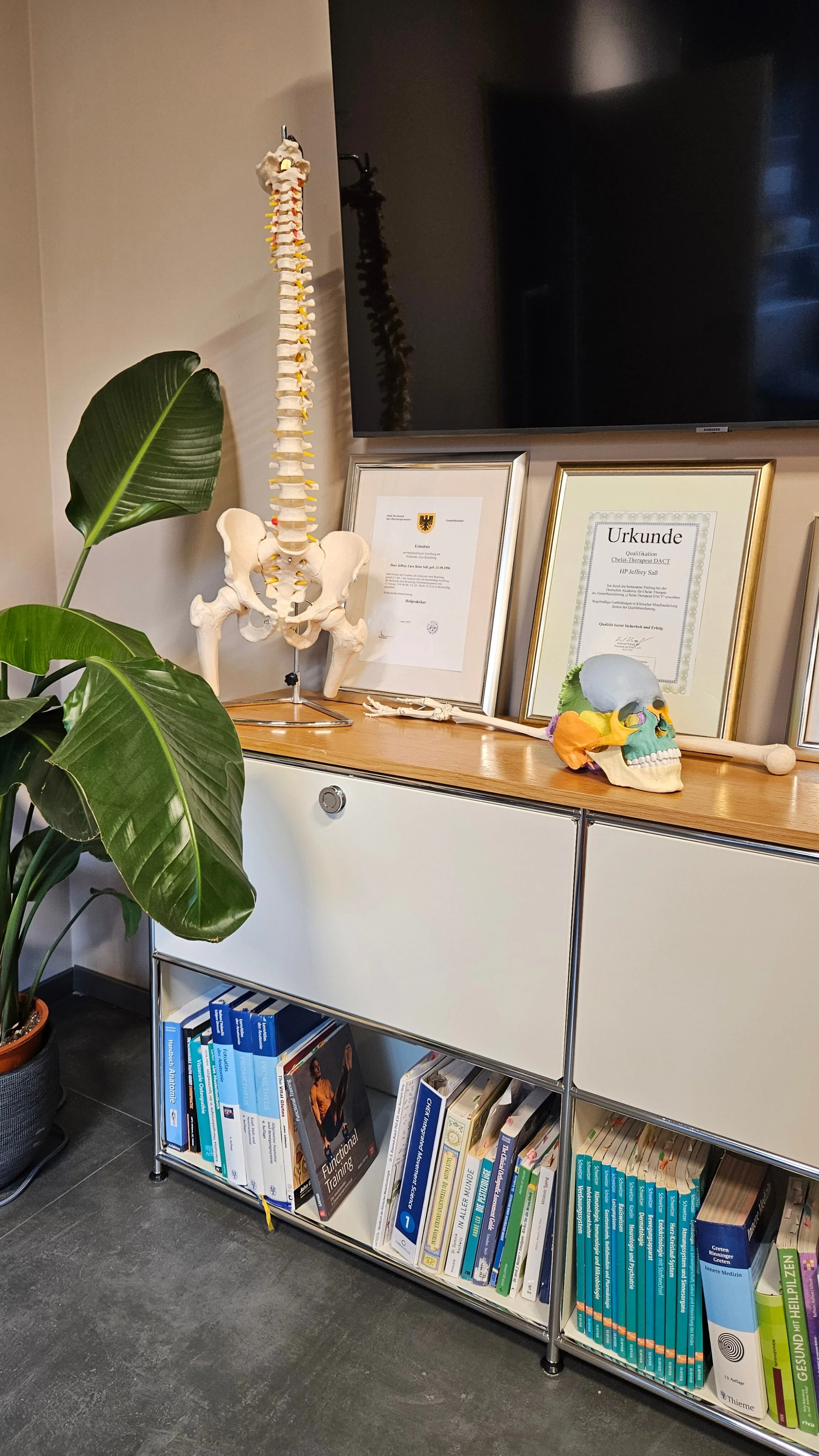 Ein Bücherregal mit medizinischer Literatur, daneben eine Zimmerpflanze, auf einem Schreibtisch stehen ein Menschenwirbelsäulenskelett und ein mehrfarbiger Model-Schädel, im Hintergrund gehören Zertifikate an der Wand.